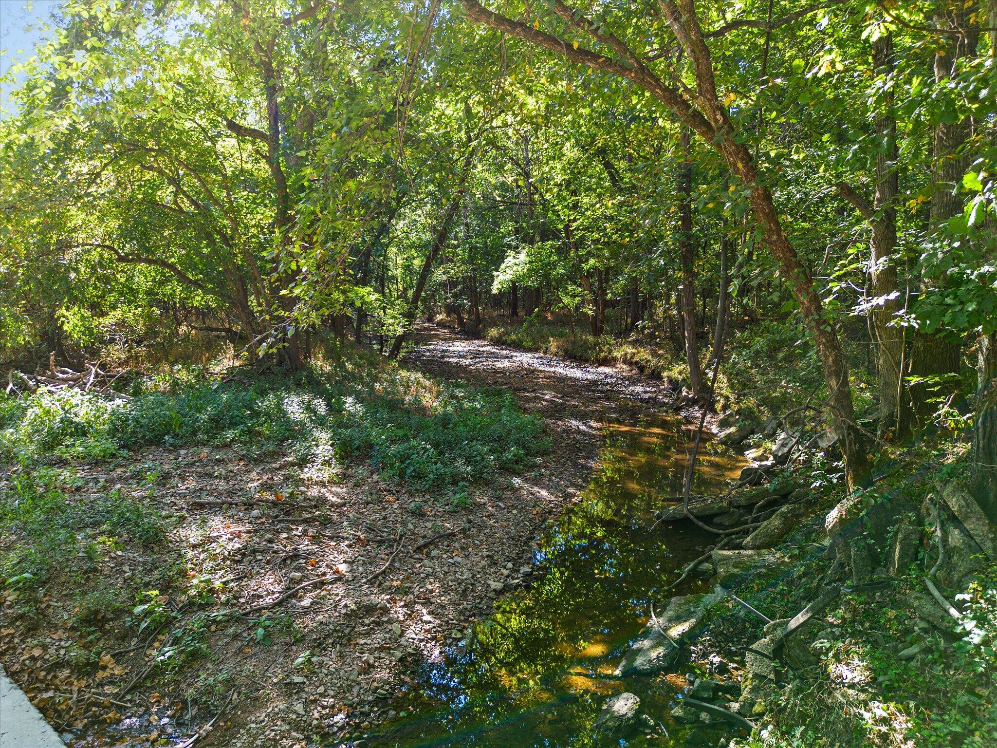 Photo 3 - Land for sale – Lot 6  Ireson Estates   Stockton, MO