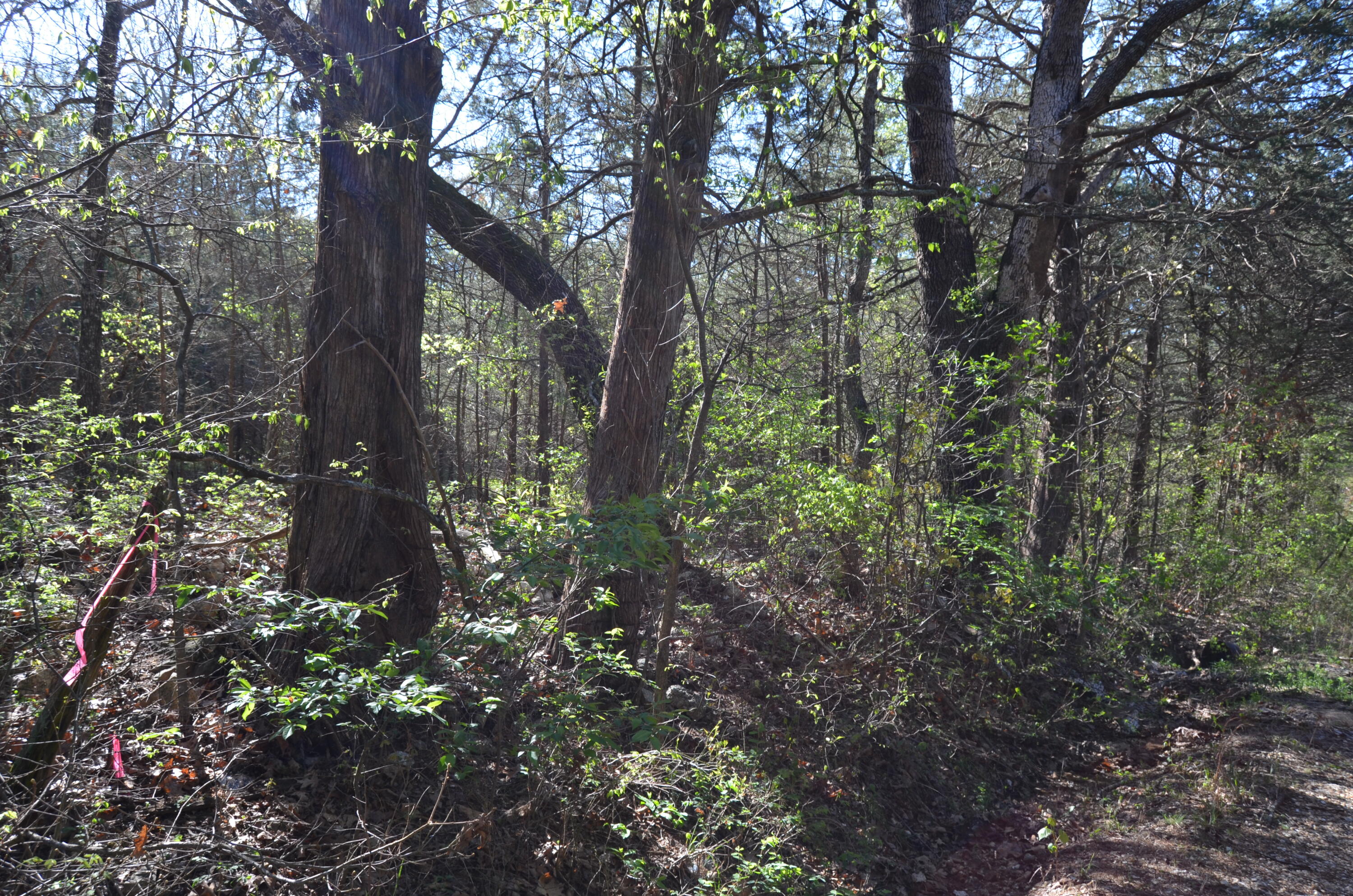 Photo 13 - Land for sale – 000  Persimmon Hill Lane  Lampe, MO