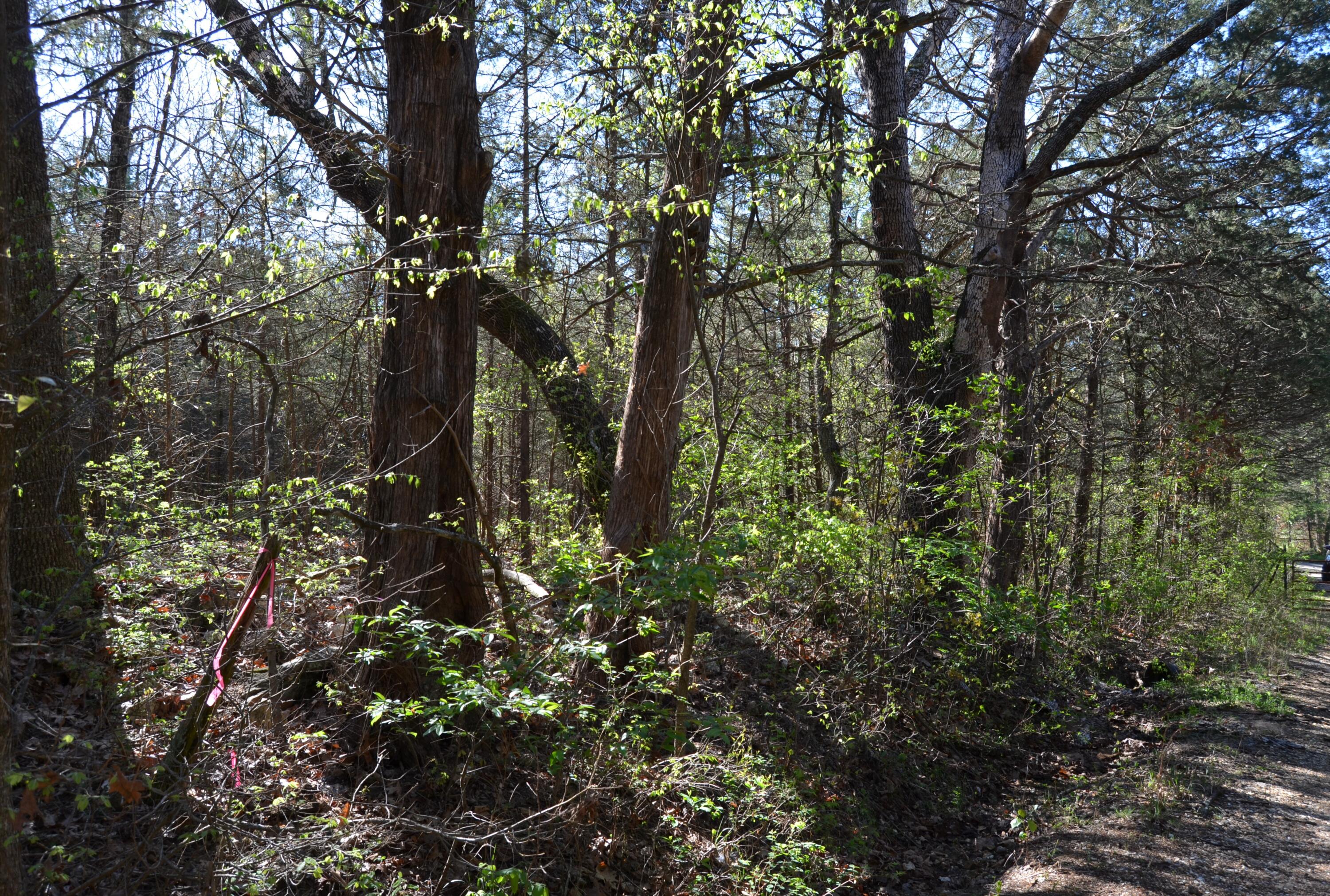Photo 7 - Land for sale – 000  Persimmon Hill Lane  Lampe, MO