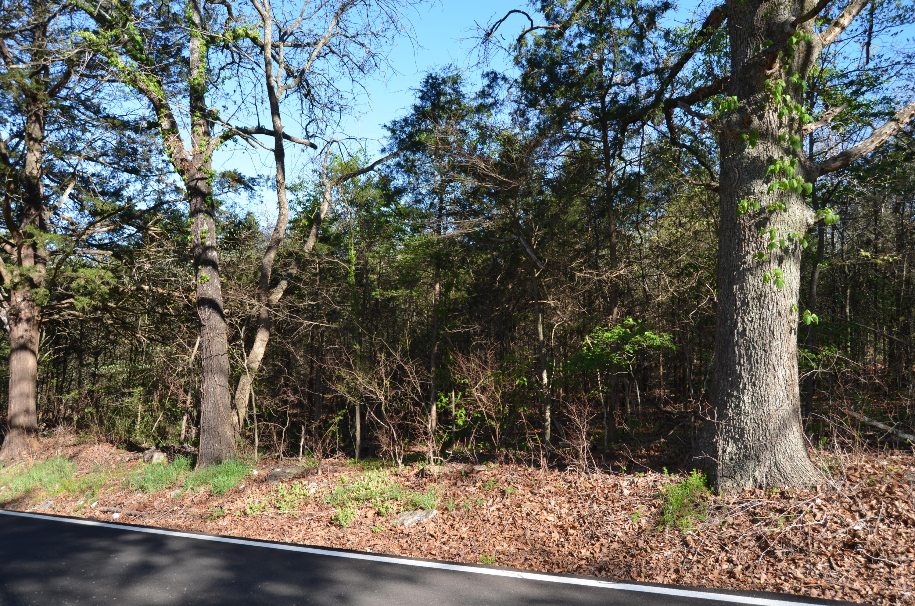 Photo 10 - Land for sale – 000  Persimmon Hill Lane  Lampe, MO