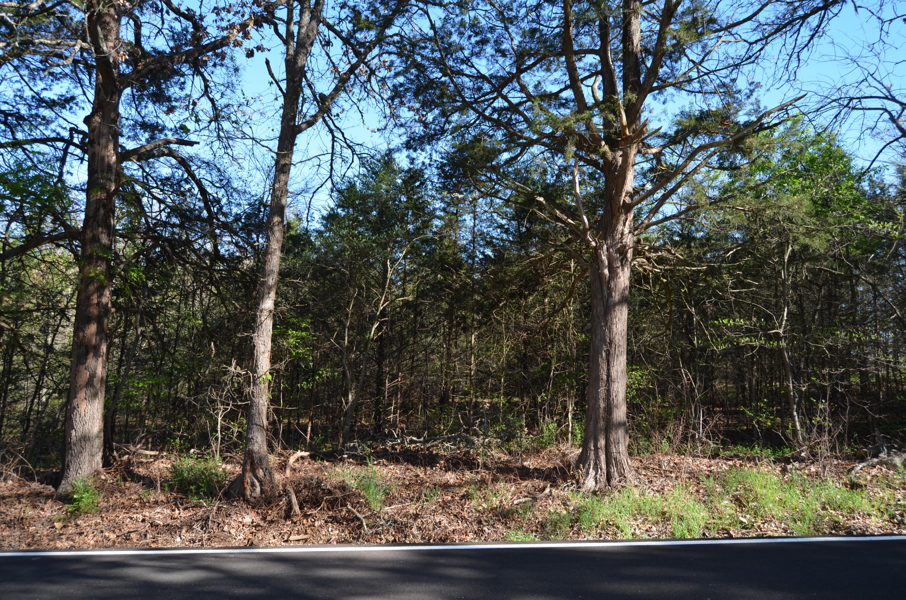 Photo 9 - Land for sale – 000  Persimmon Hill Lane  Lampe, MO