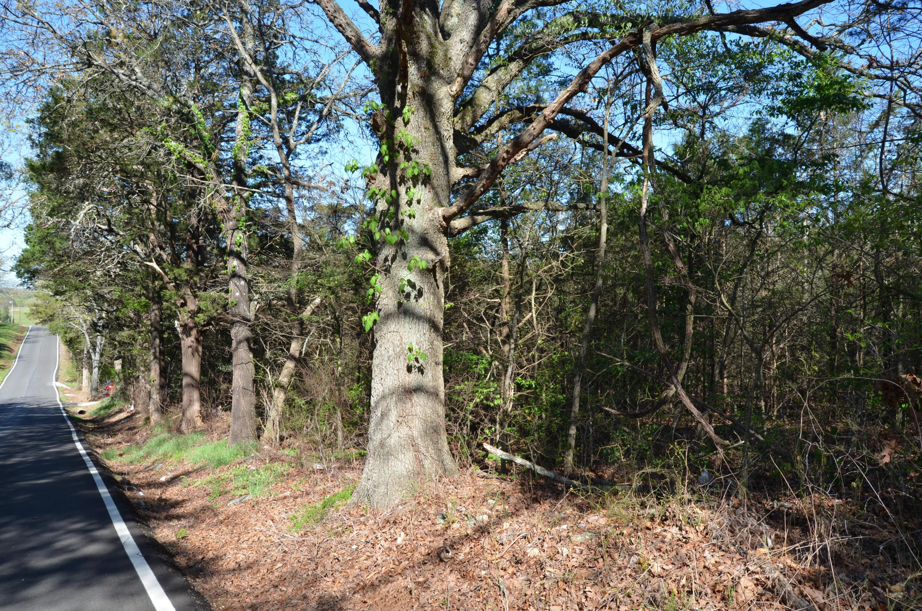 Photo 19 - Land for sale – 000  Persimmon Hill Lane  Lampe, MO