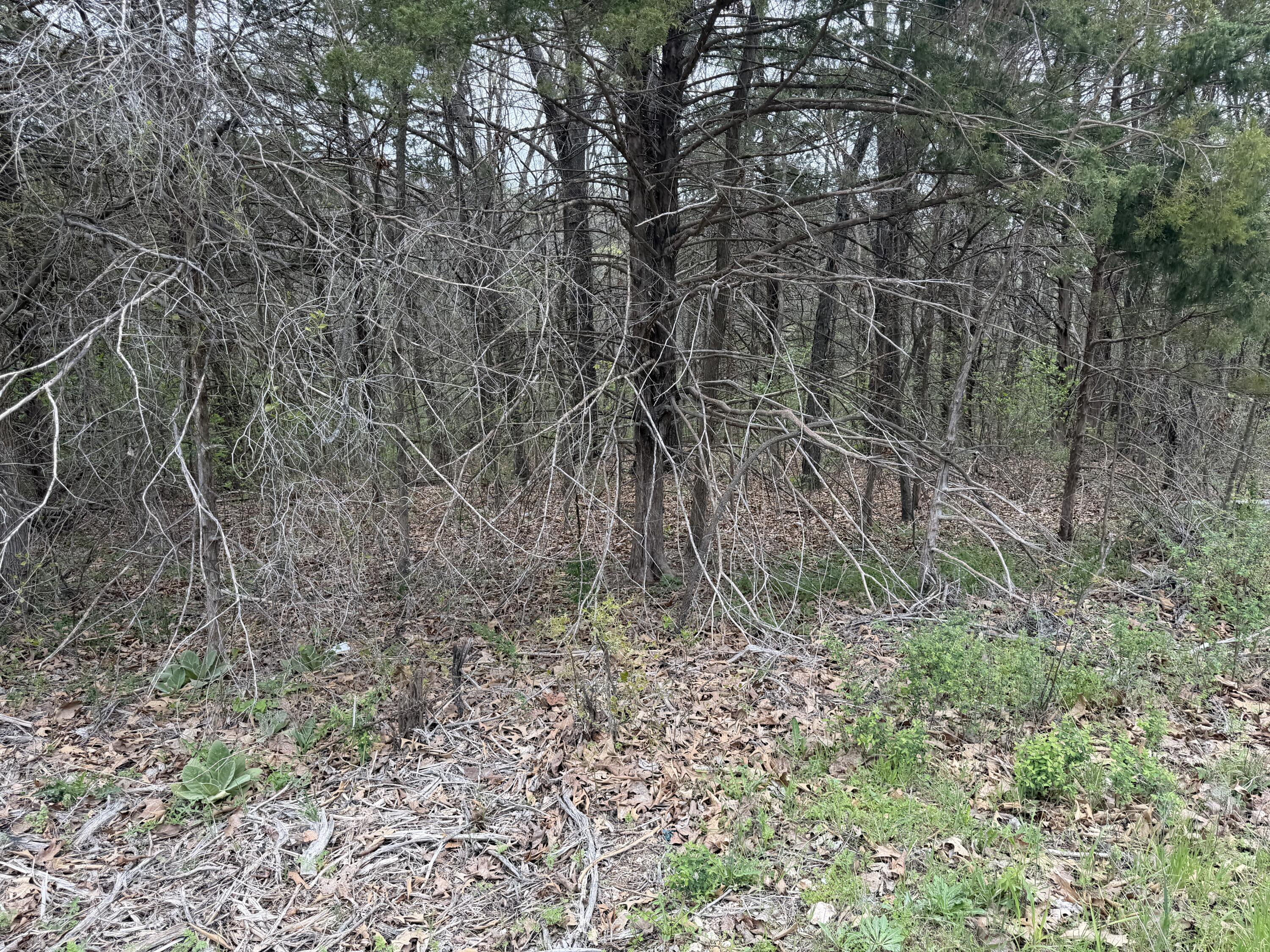 Land for sale – 002  Holiday Hills Drive  Cape Fair, MO