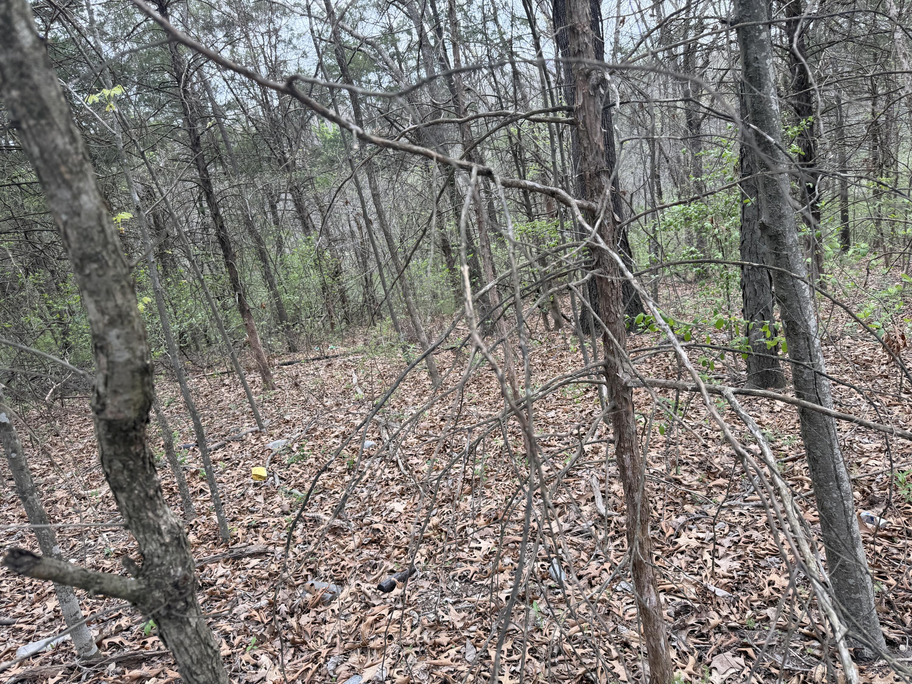 Photo 2 - Land for sale – 002  Holiday Hills Drive  Cape Fair, MO