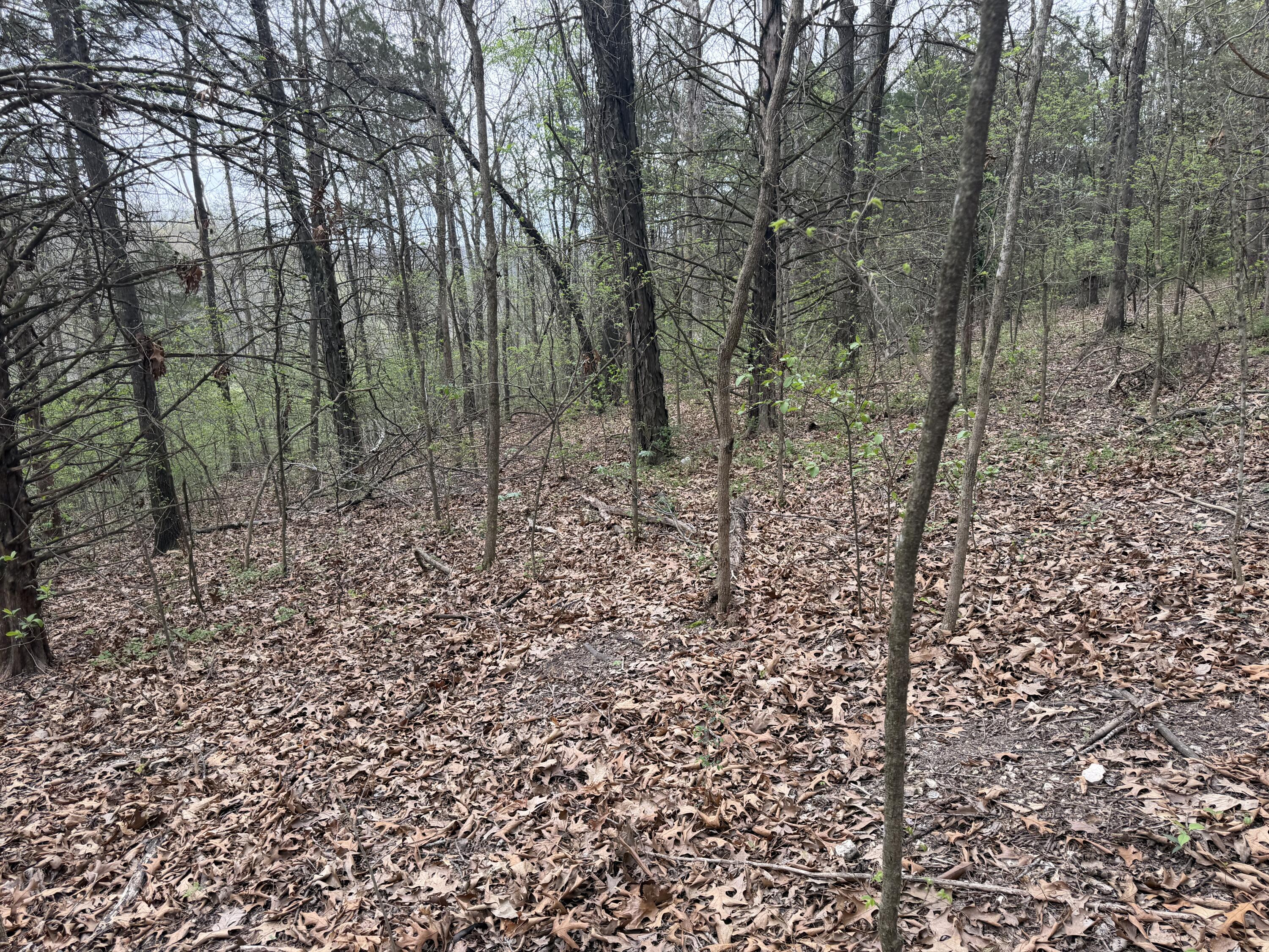 Photo 6 - Land for sale – 002  Holiday Hills Drive  Cape Fair, MO