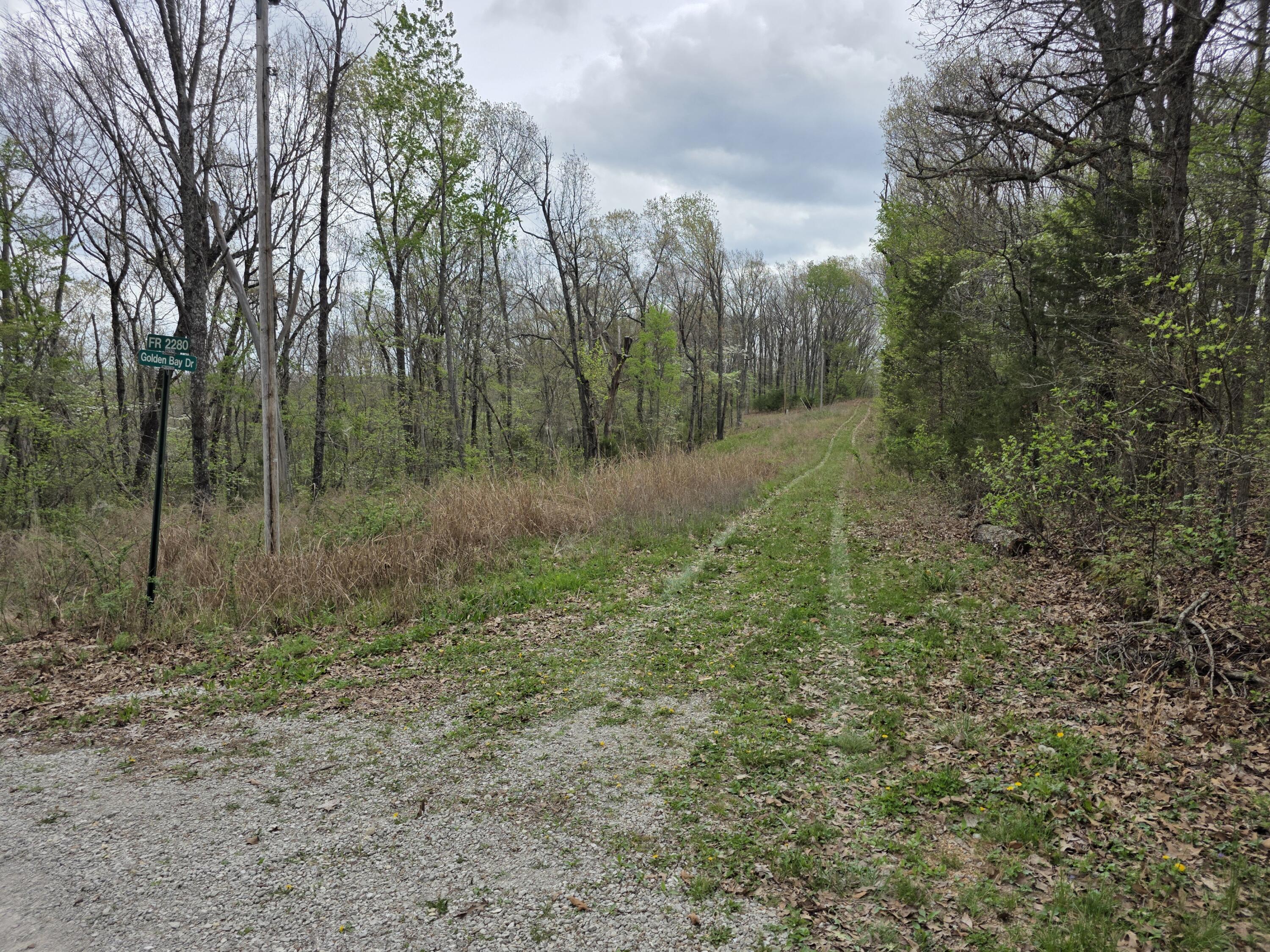 Land for sale – 000  Fr 2285   Golden, MO