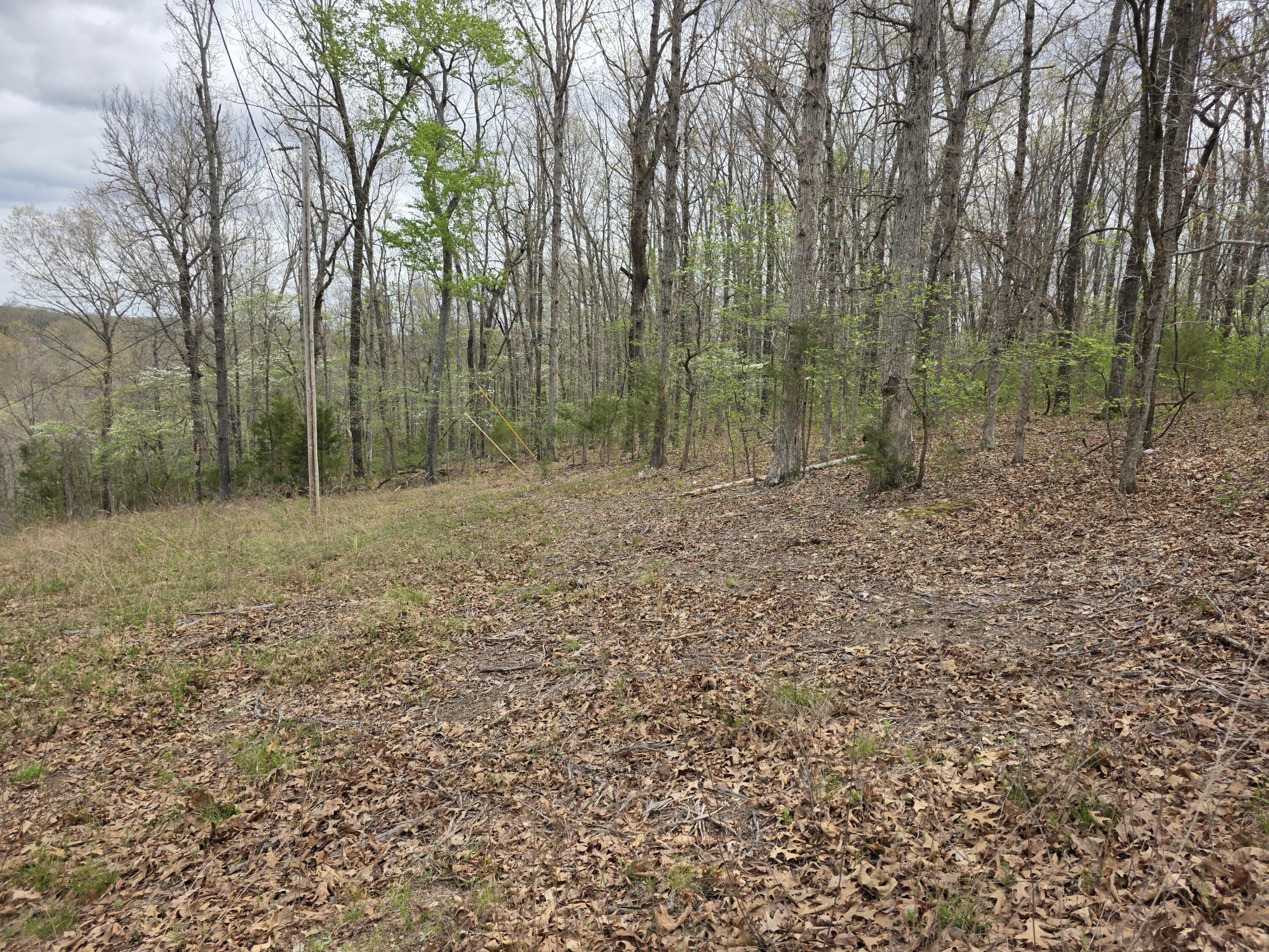 Photo 9 - Land for sale – 000  Fr 2285   Golden, MO