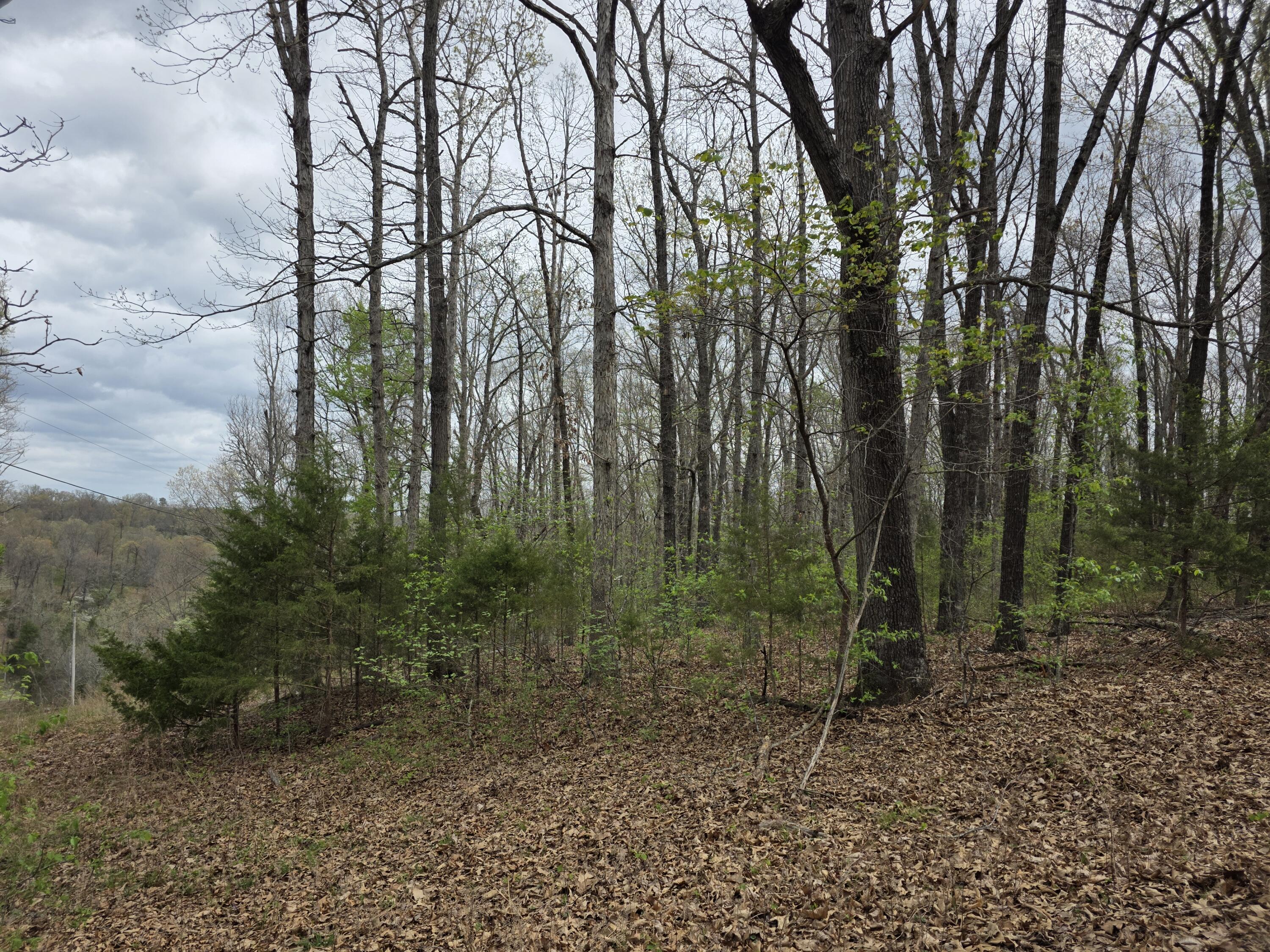 Photo 4 - Land for sale – 000  Fr 2285   Golden, MO