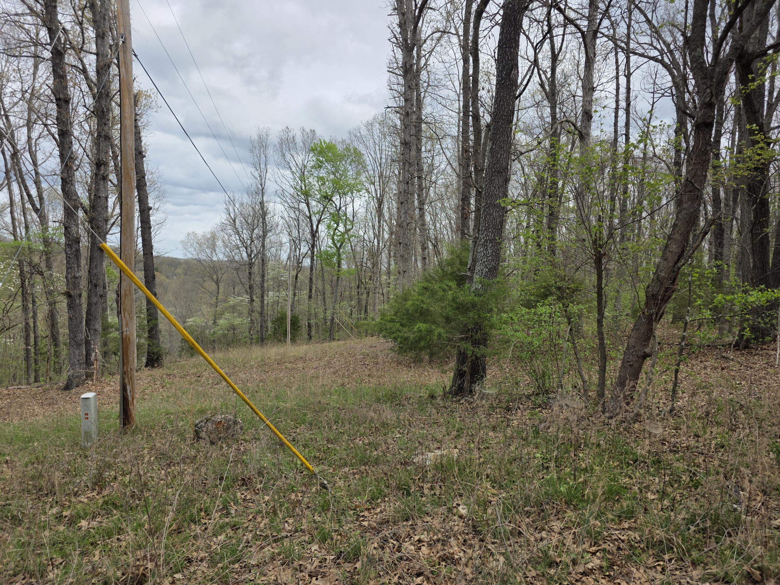 Photo 3 - Land for sale – 000  Fr 2285   Golden, MO