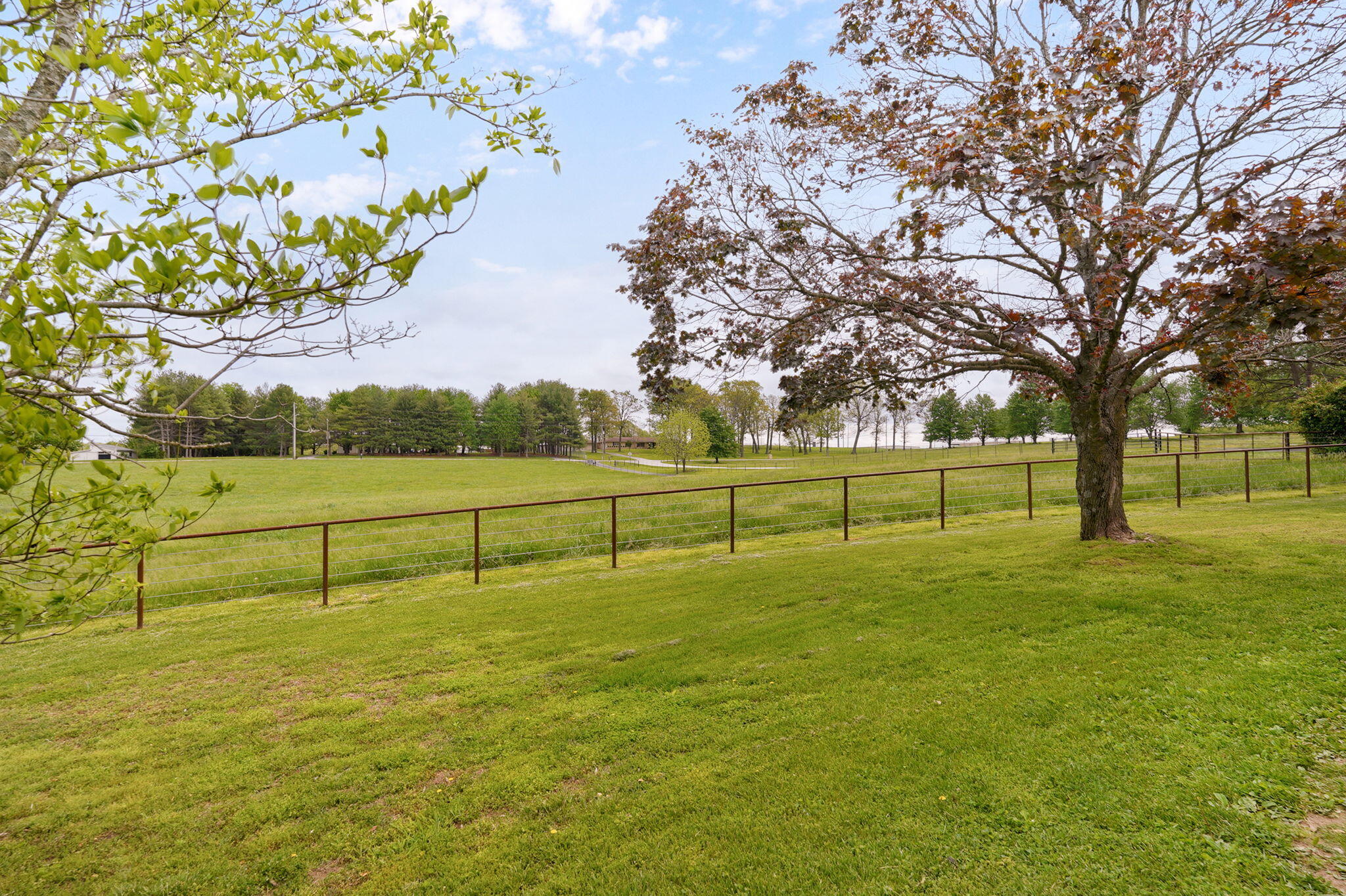 Photo 55 - Residential for sale – 4789 S Farm Road 193   Rogersville, MO