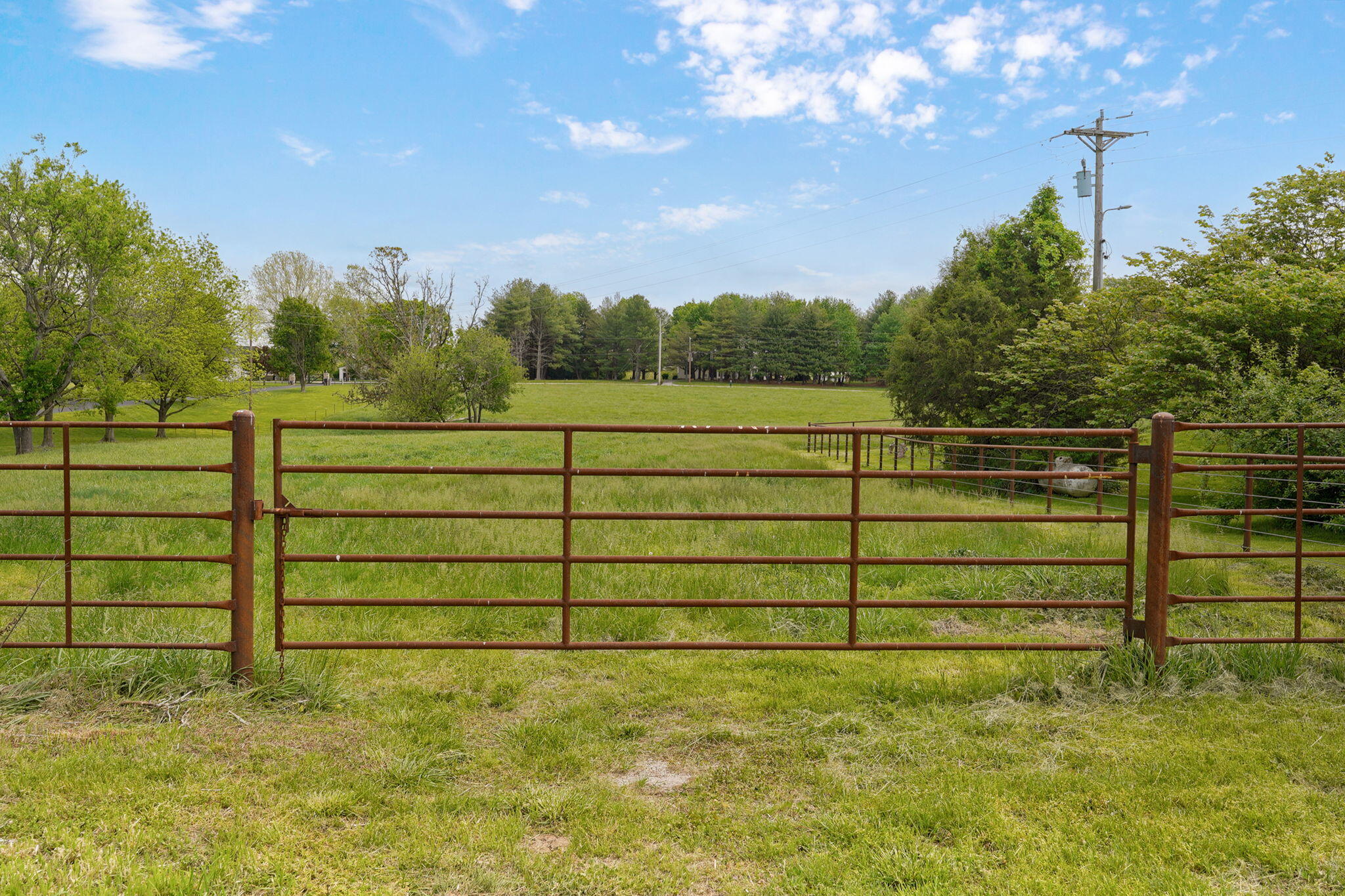 Photo 73 - Residential for sale – 4789 S Farm Road 193   Rogersville, MO