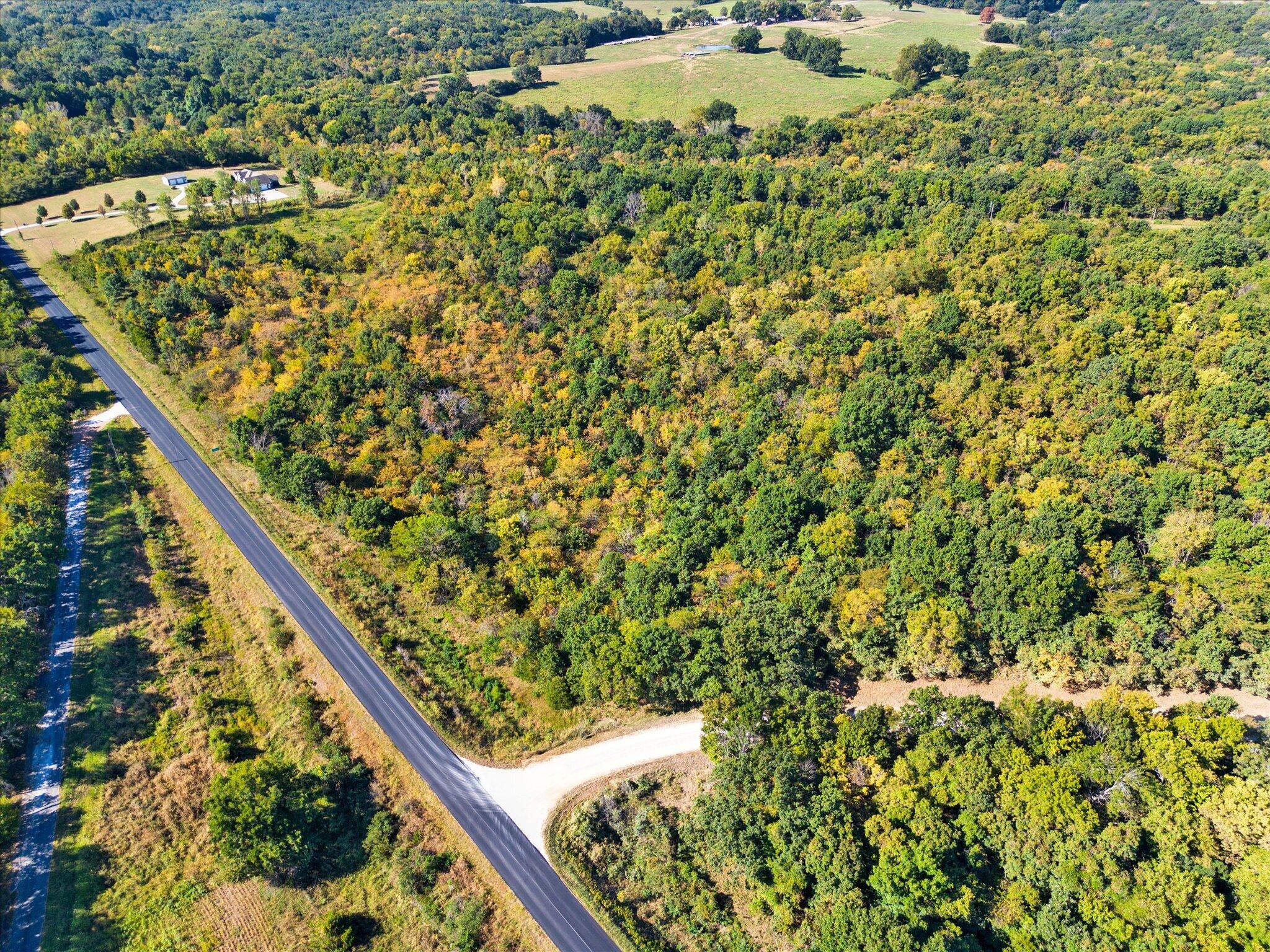 Photo 12 - Land for sale – Lot 12  Ireson Estates   Stockton, MO
