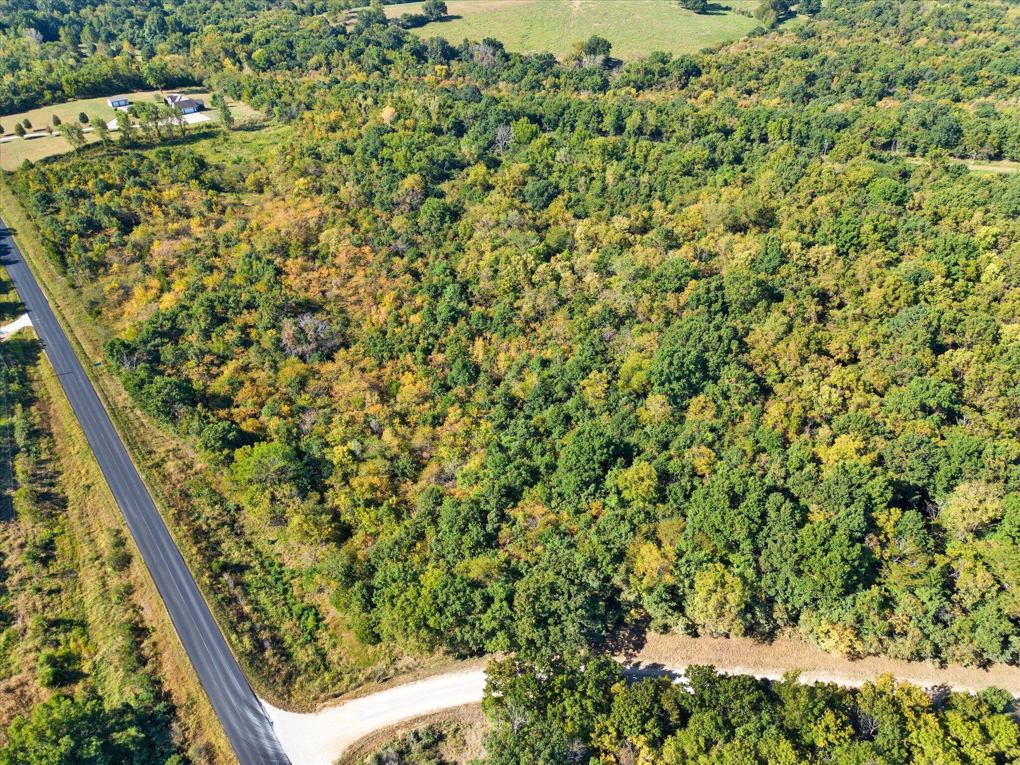 Photo 11 - Land for sale – Lot 13  Ireson Estates   Stockton, MO