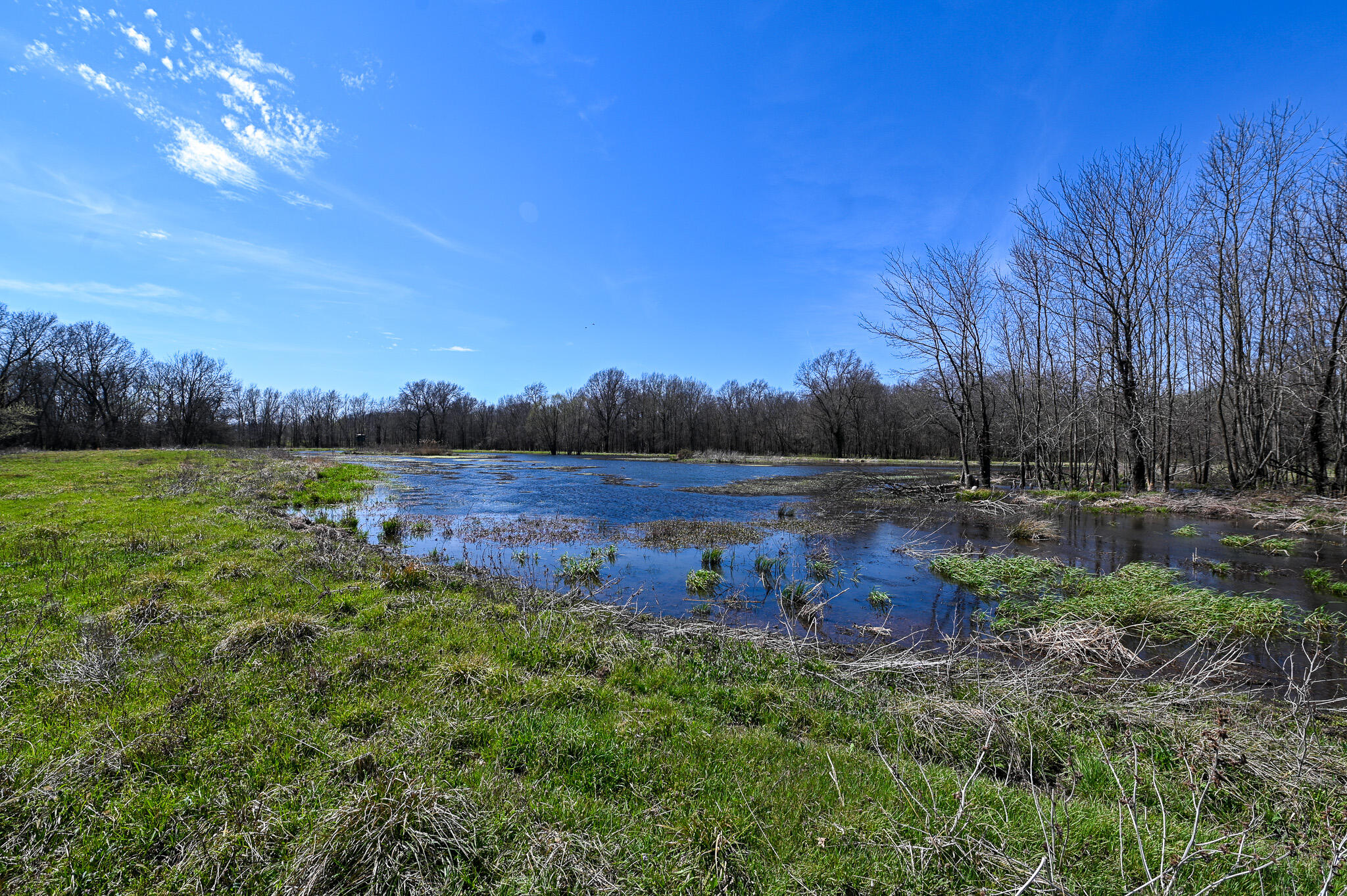 Photo 36 - Residential for sale – 304  Reavley Drive  Lamar, MO