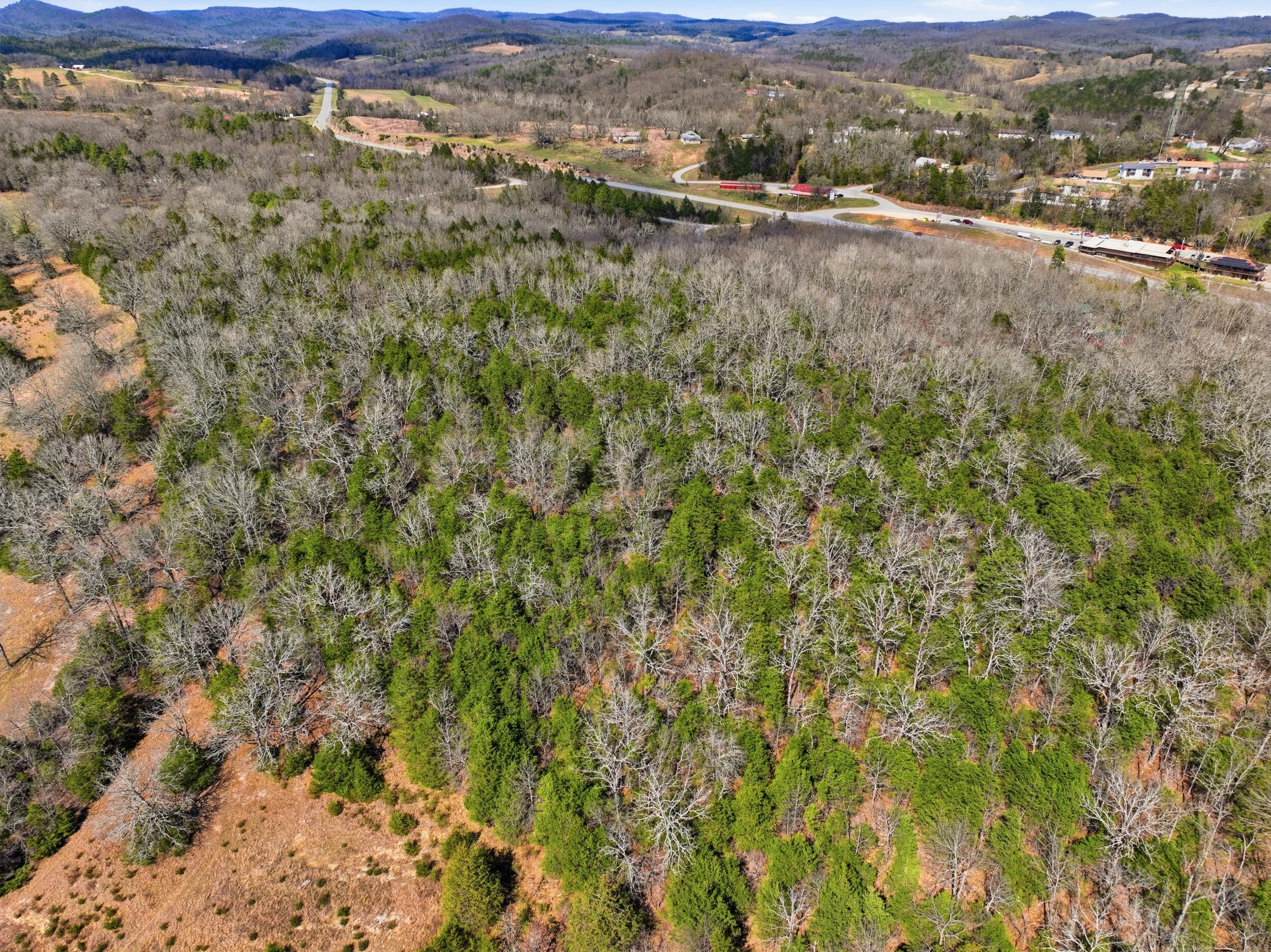 Photo 5 - Land for sale – Lot 1  Mm Highway   Gainesville, MO