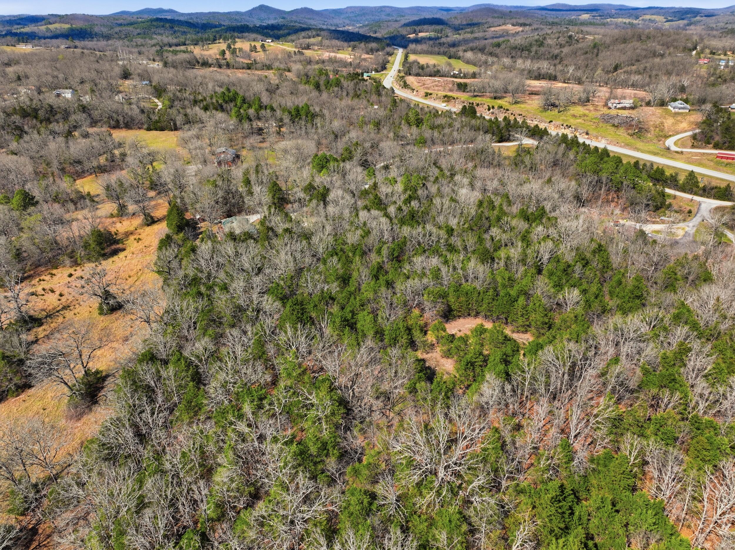 Photo 7 - Land for sale – Lot 1  Mm Highway   Gainesville, MO