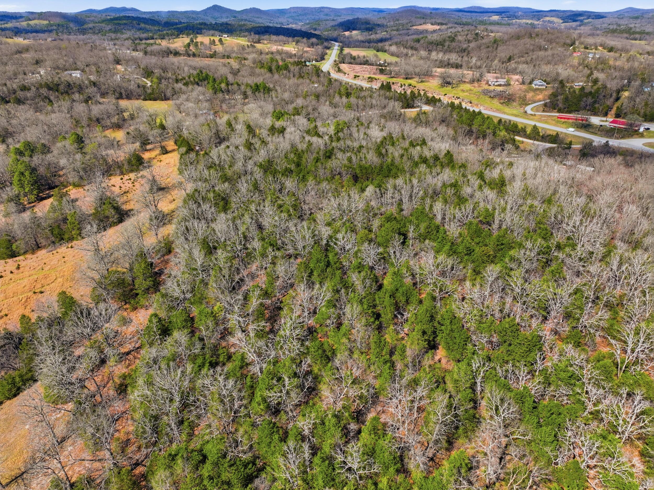 Photo 6 - Land for sale – Lot 1  Mm Highway   Gainesville, MO