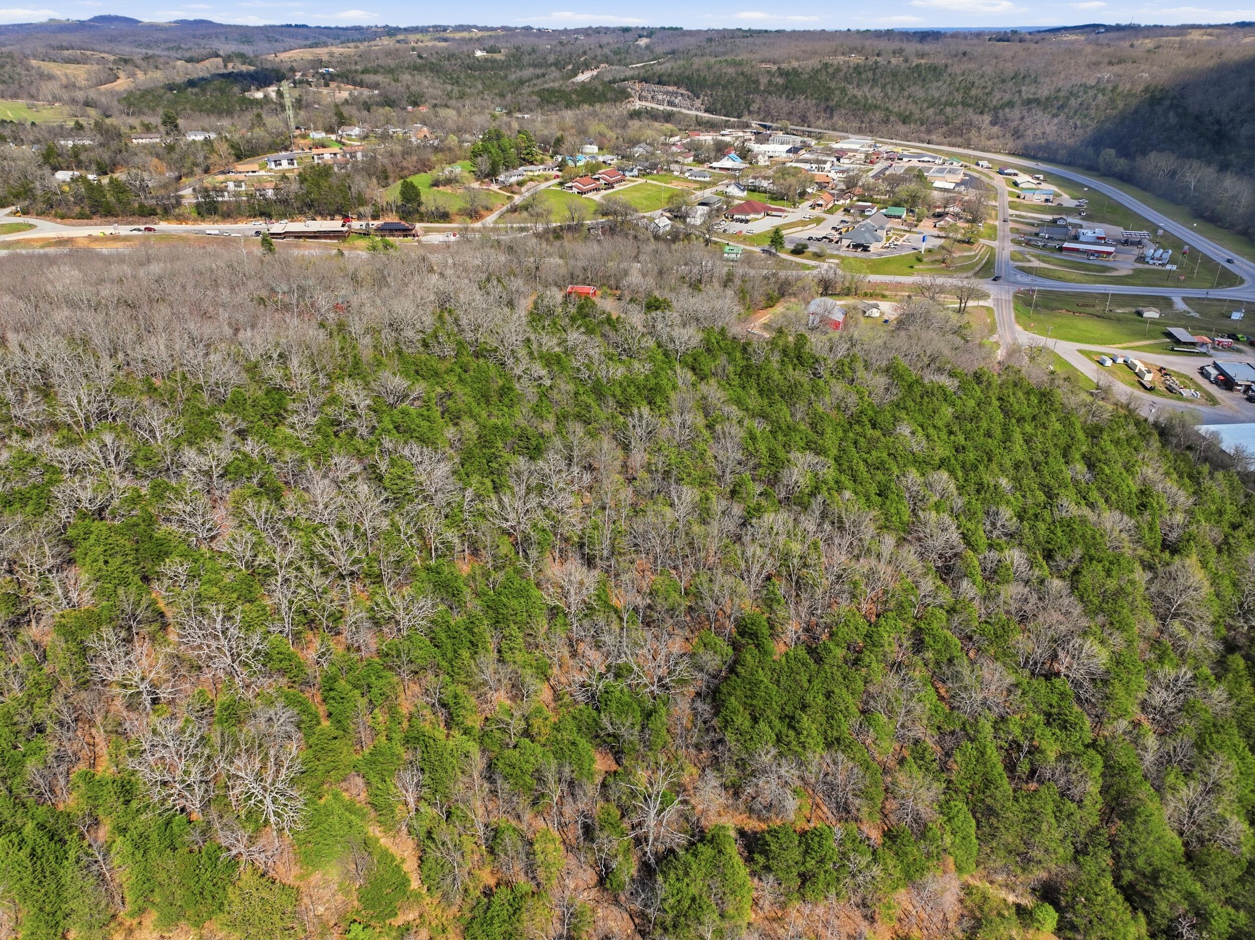 Photo 12 - Land for sale – Lot 1  Mm Highway   Gainesville, MO
