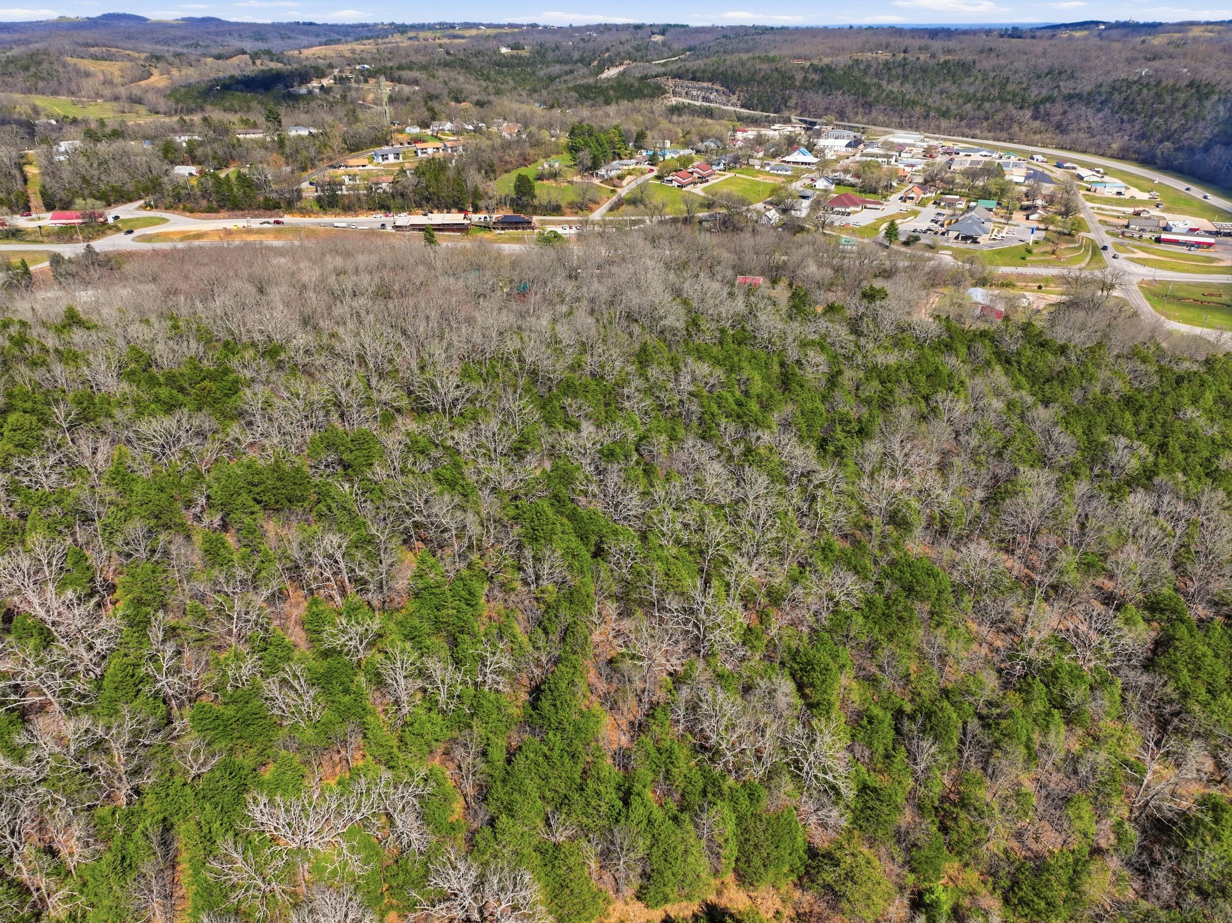 Photo 11 - Land for sale – Lot 1  Mm Highway   Gainesville, MO