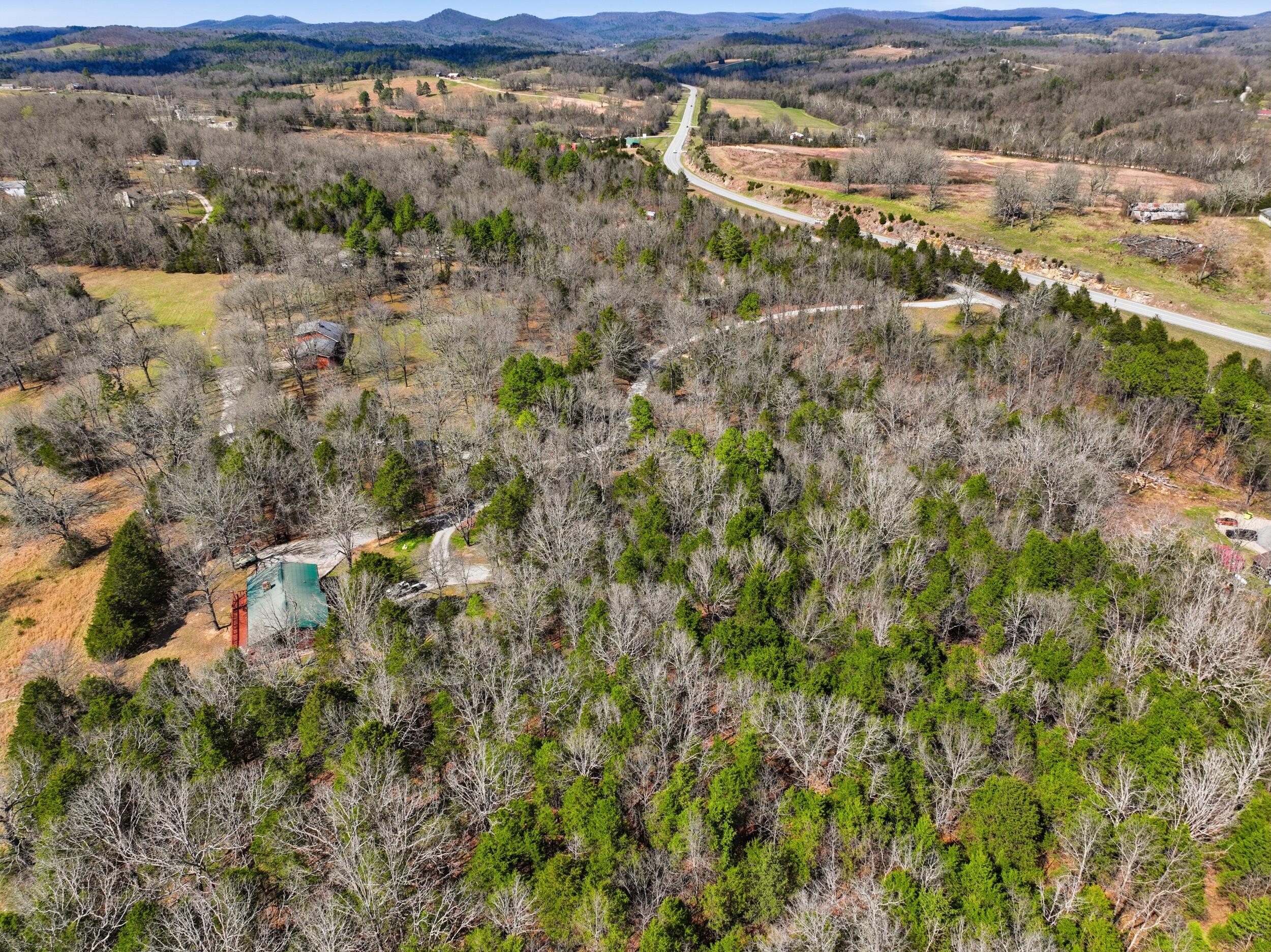 Photo 8 - Land for sale – Lot 1  Mm Highway   Gainesville, MO