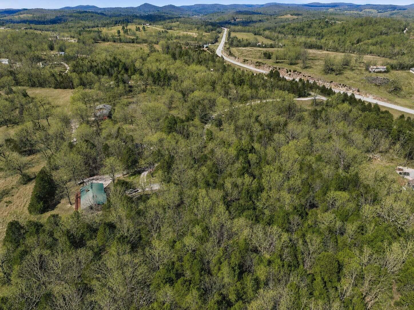Photo 4 - Land for sale – Lot 1  Mm Highway   Gainesville, MO
