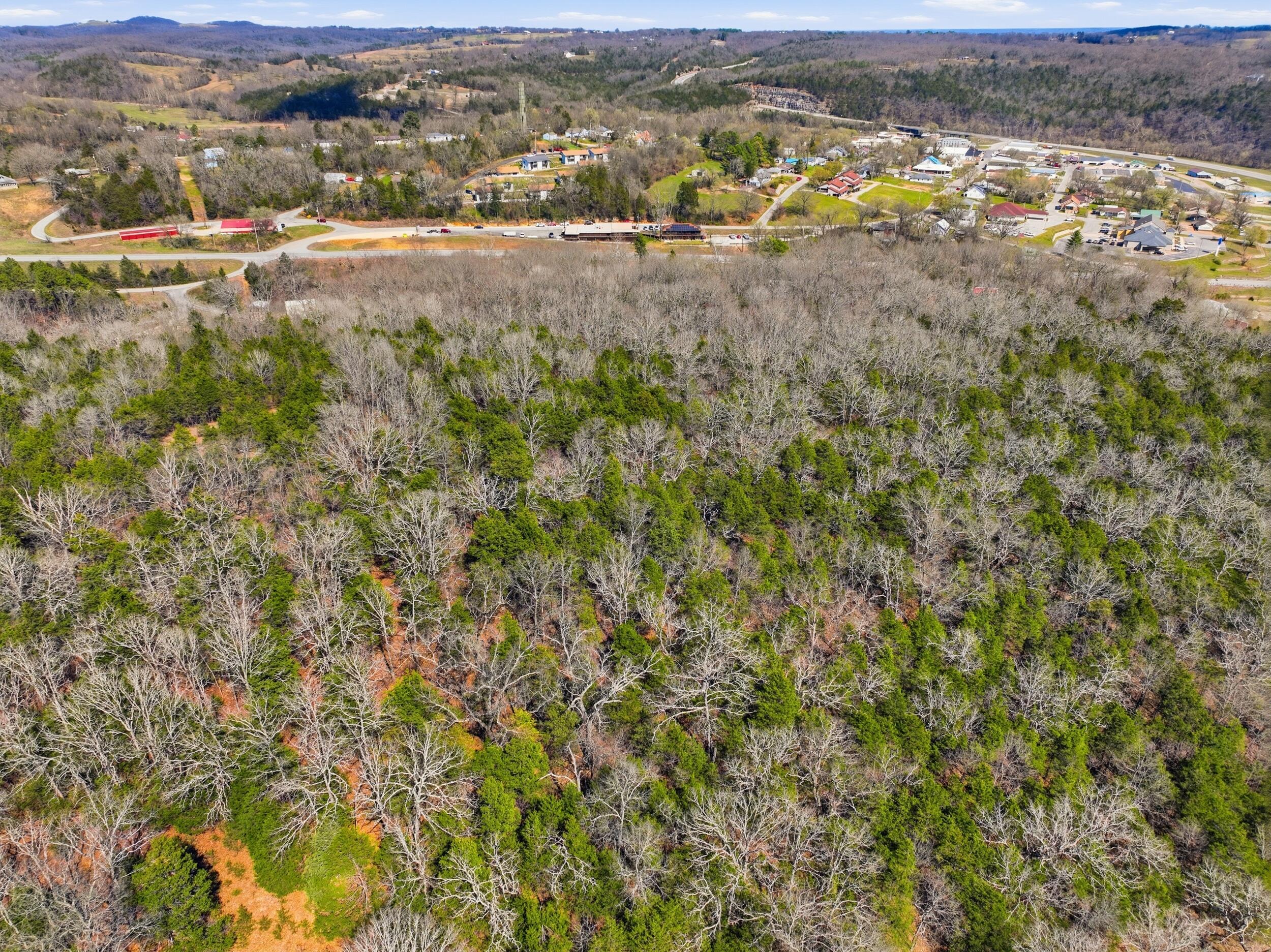 Photo 10 - Land for sale – Lot 1  Mm Highway   Gainesville, MO