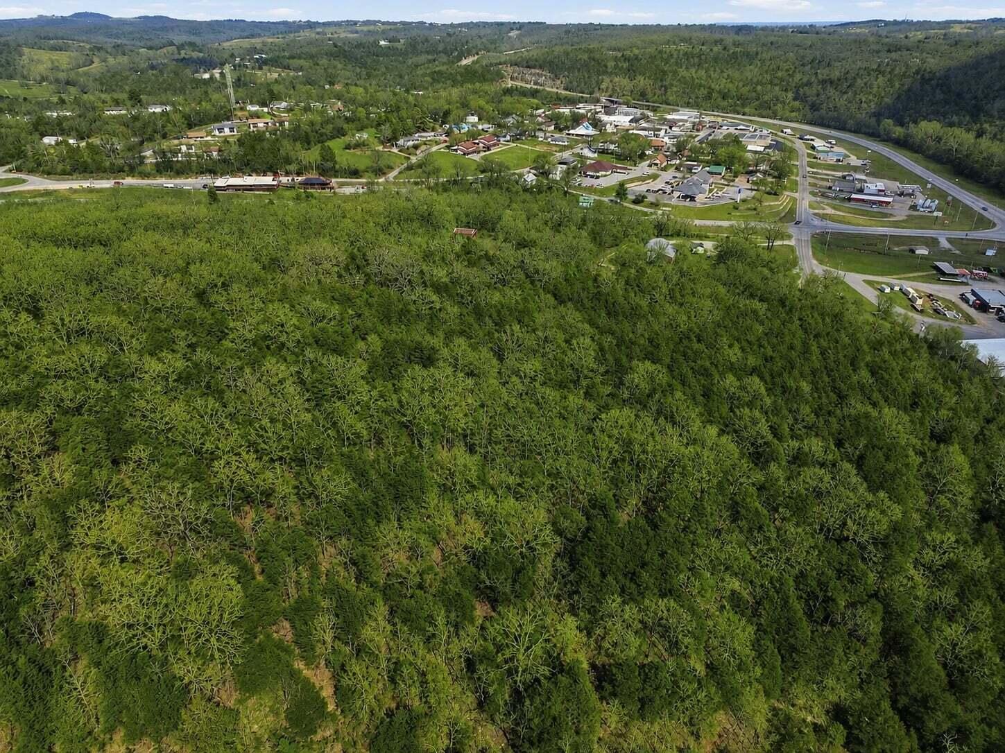 Photo 15 - Land for sale – Lot 1  Mm Highway   Gainesville, MO