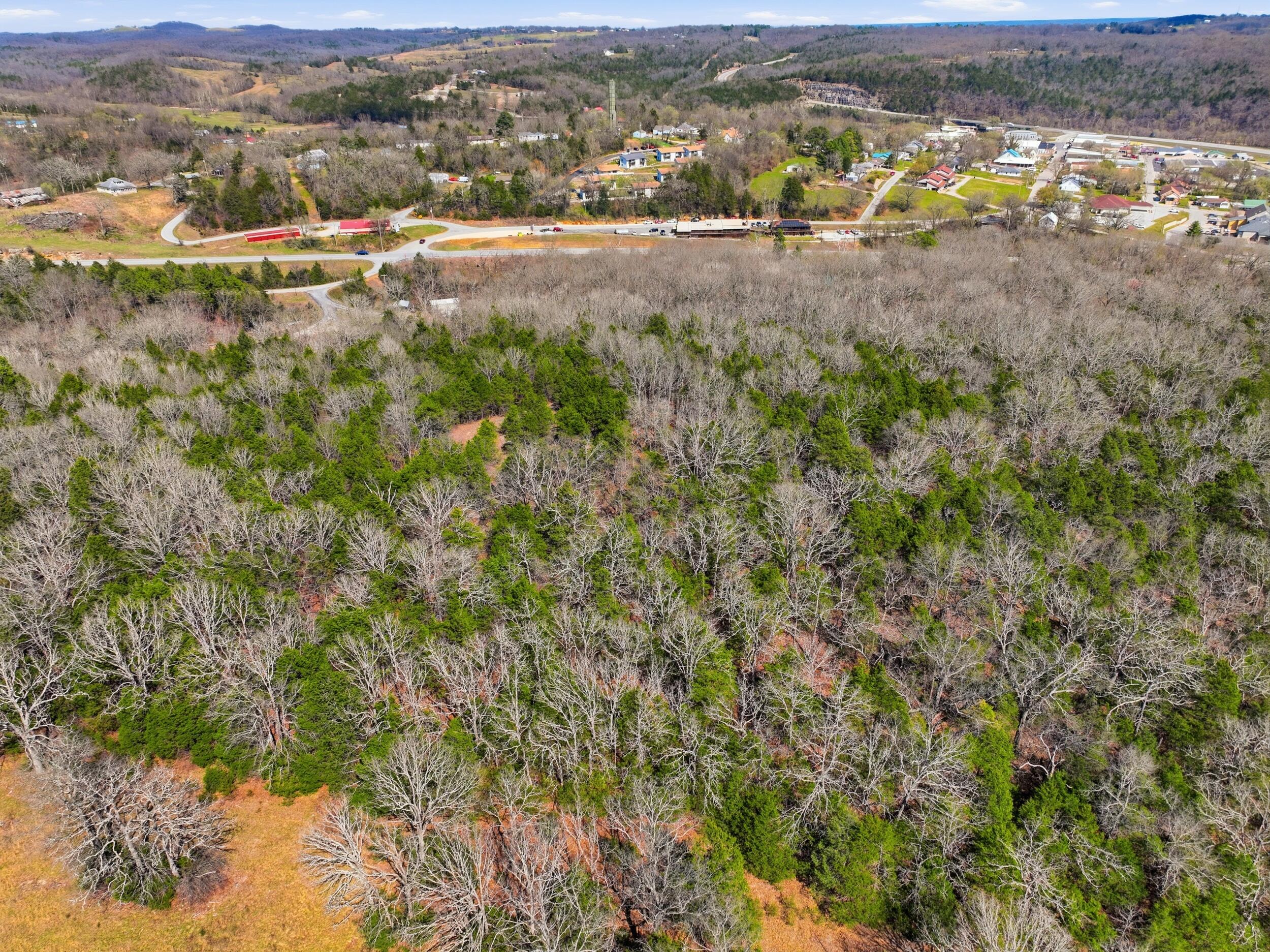 Photo 3 - Land for sale – Lot 1  Mm Highway   Gainesville, MO