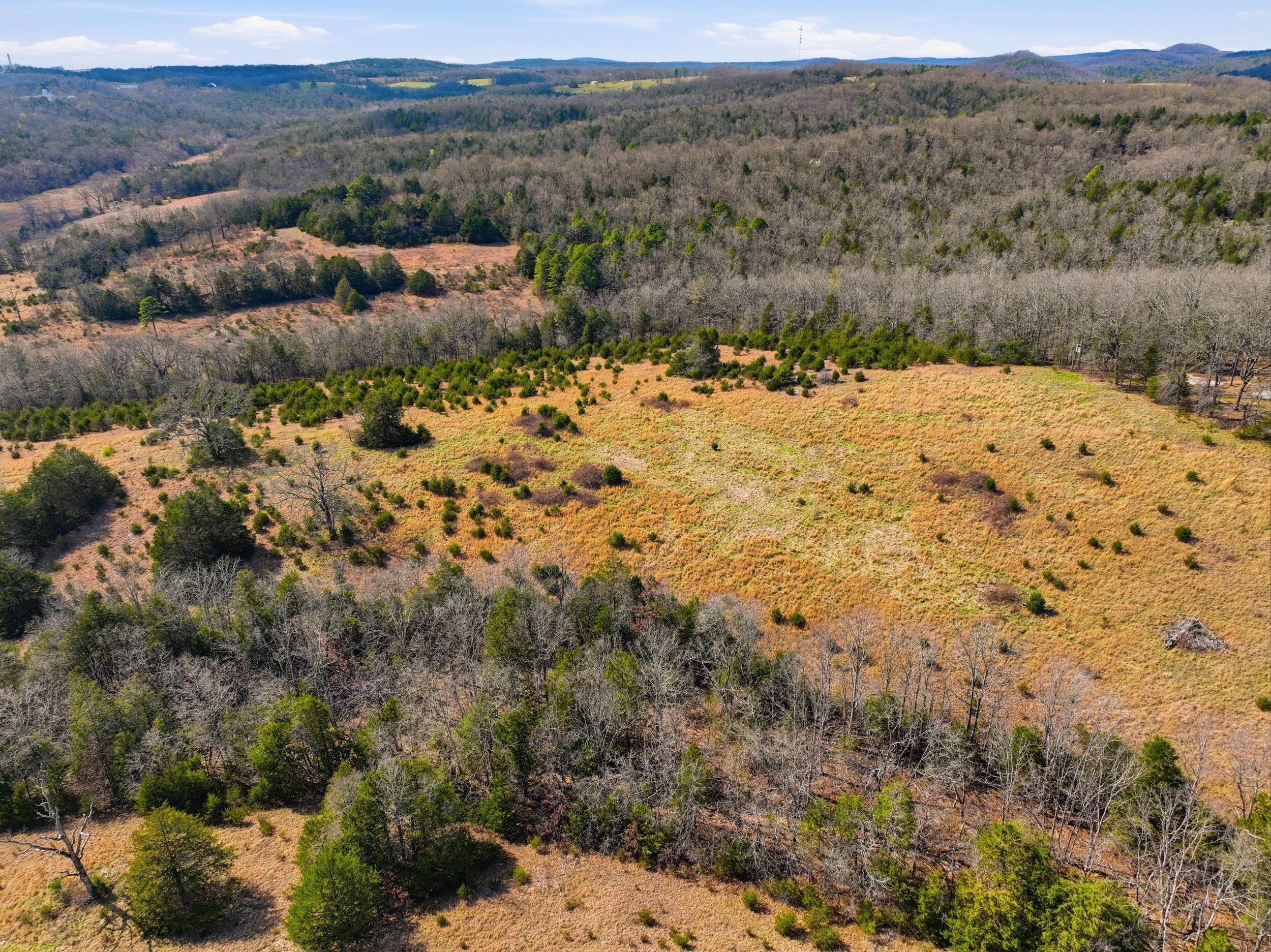 Photo 12 - Land for sale – Lot 2  Fox Den Lane Street  Gainesville, MO