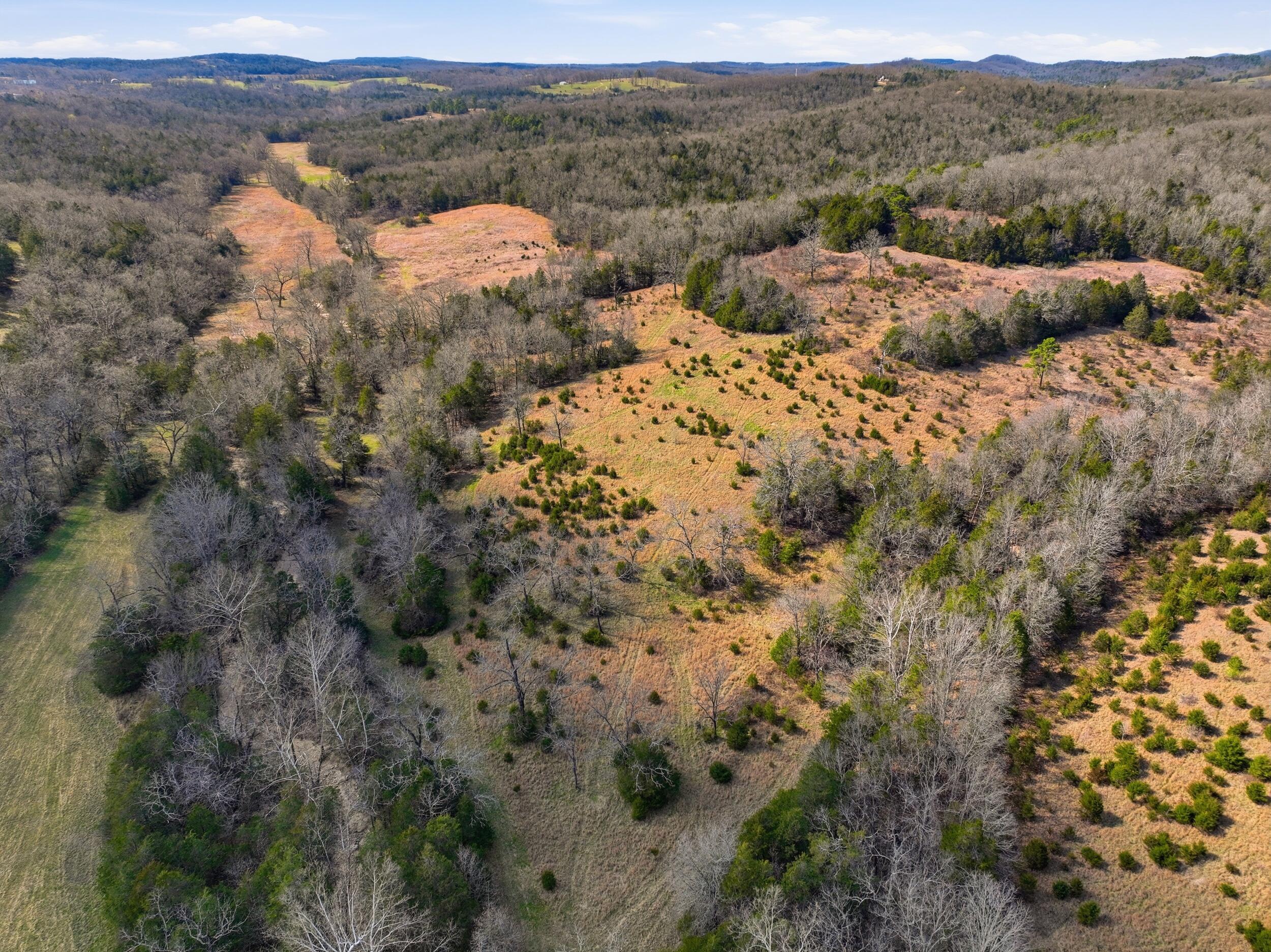 Photo 4 - Land for sale – Lot 2  Fox Den Lane Street  Gainesville, MO