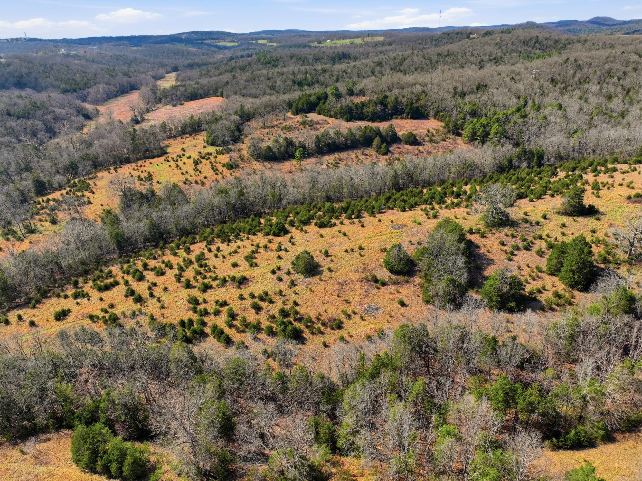 Photo 10 - Land for sale – Lot 2  Fox Den Lane Street  Gainesville, MO