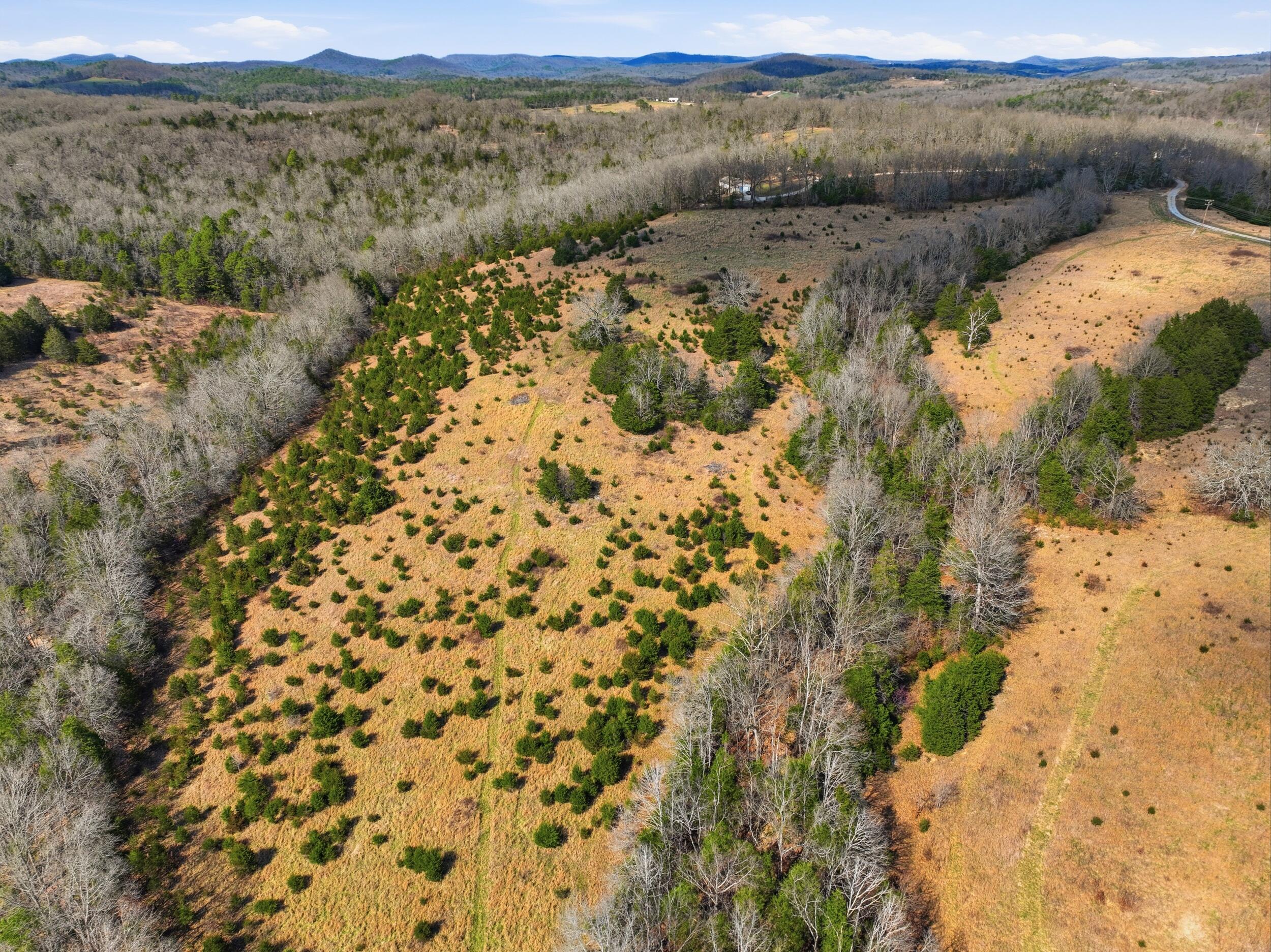 Photo 8 - Land for sale – Lot 2  Fox Den Lane Street  Gainesville, MO
