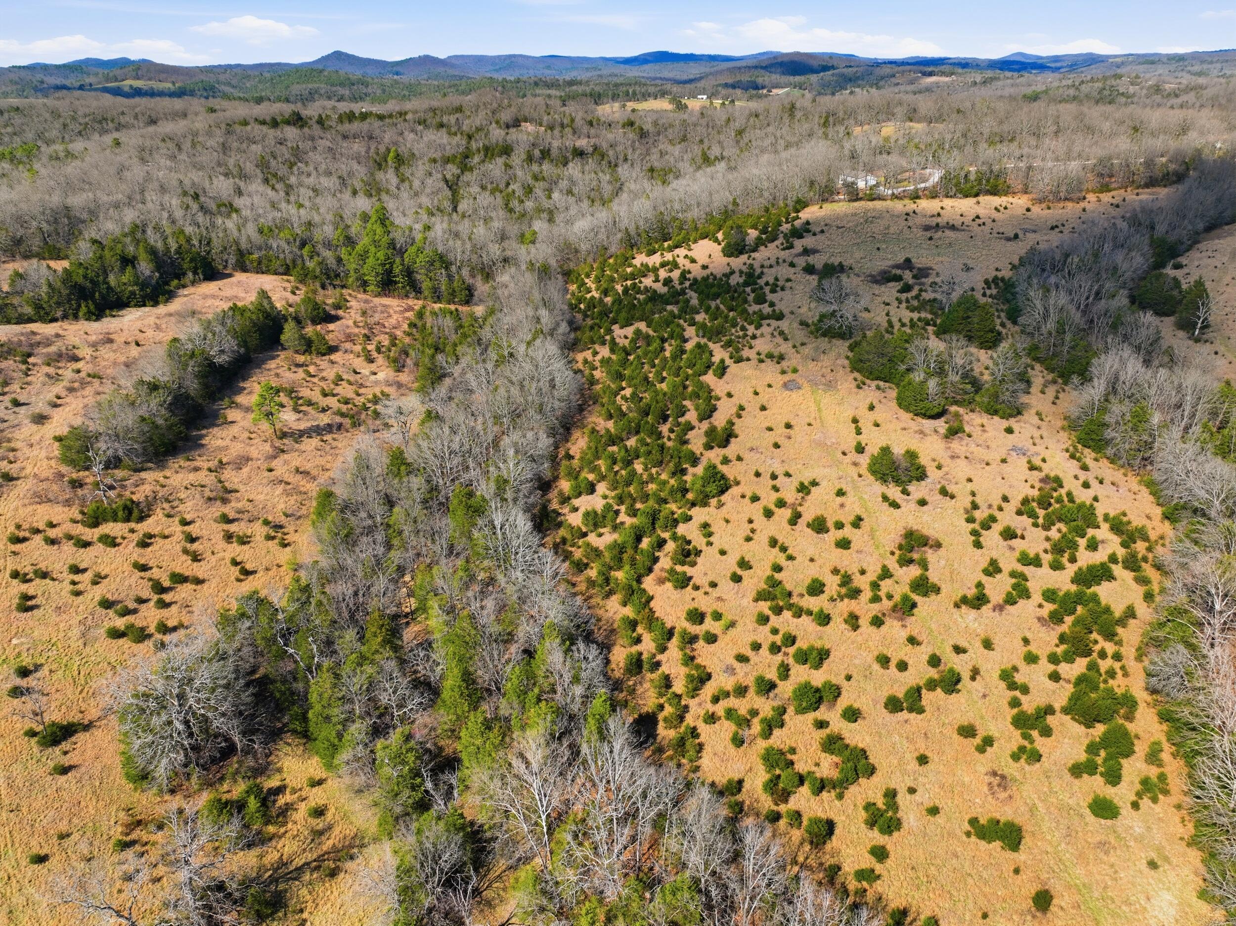 Photo 7 - Land for sale – Lot 2  Fox Den Lane Street  Gainesville, MO