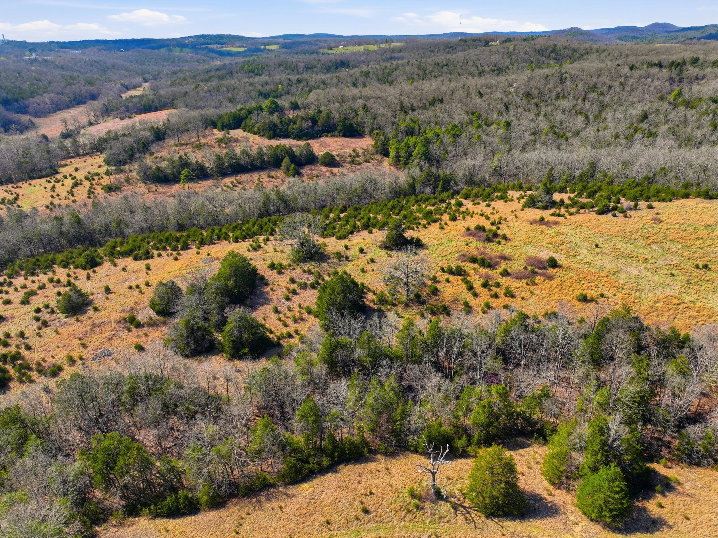 Photo 11 - Land for sale – Lot 2  Fox Den Lane Street  Gainesville, MO