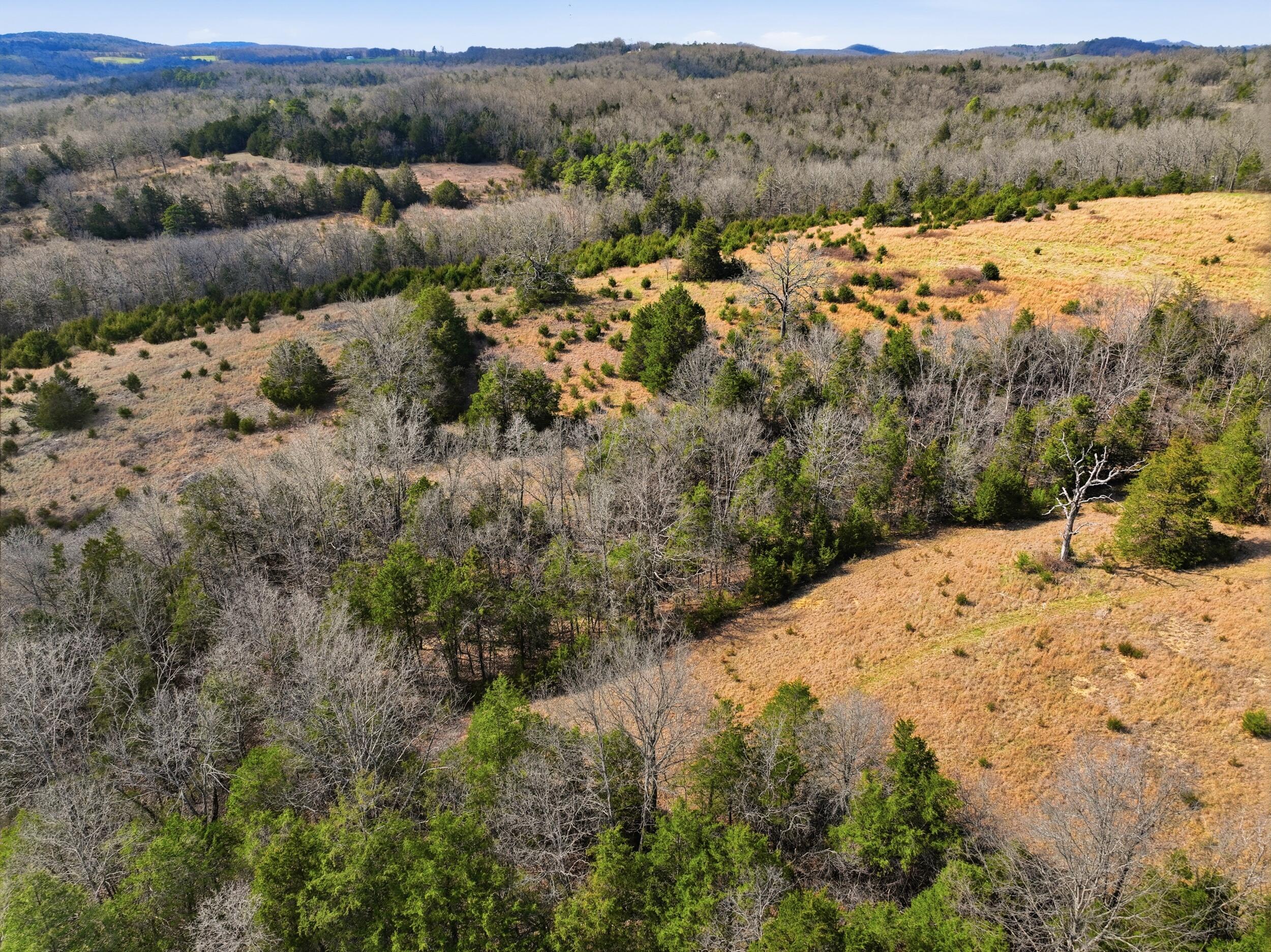 Photo 16 - Land for sale – Lot 2  Fox Den Lane Street  Gainesville, MO