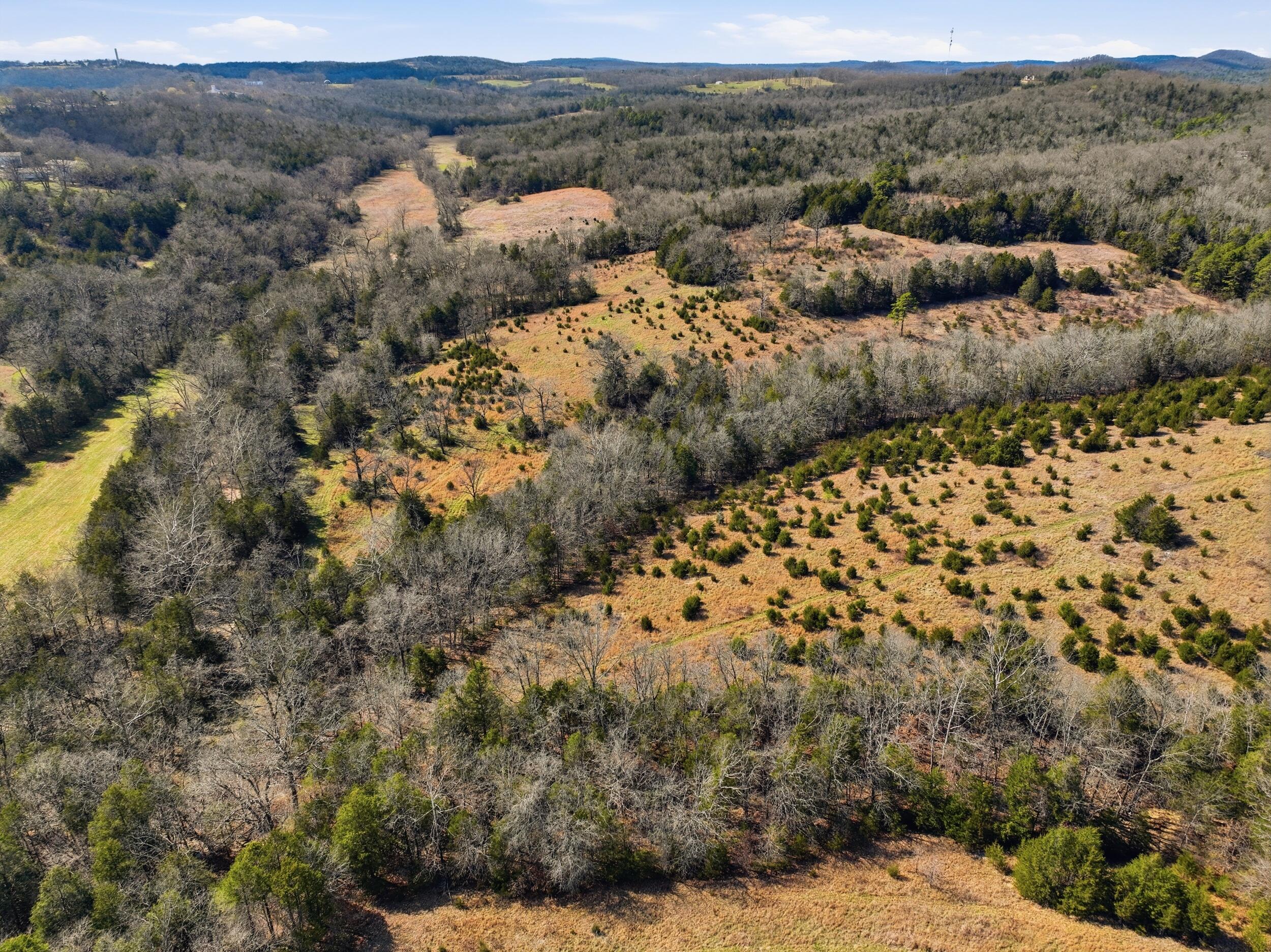 Photo 9 - Land for sale – Lot 2  Fox Den Lane Street  Gainesville, MO