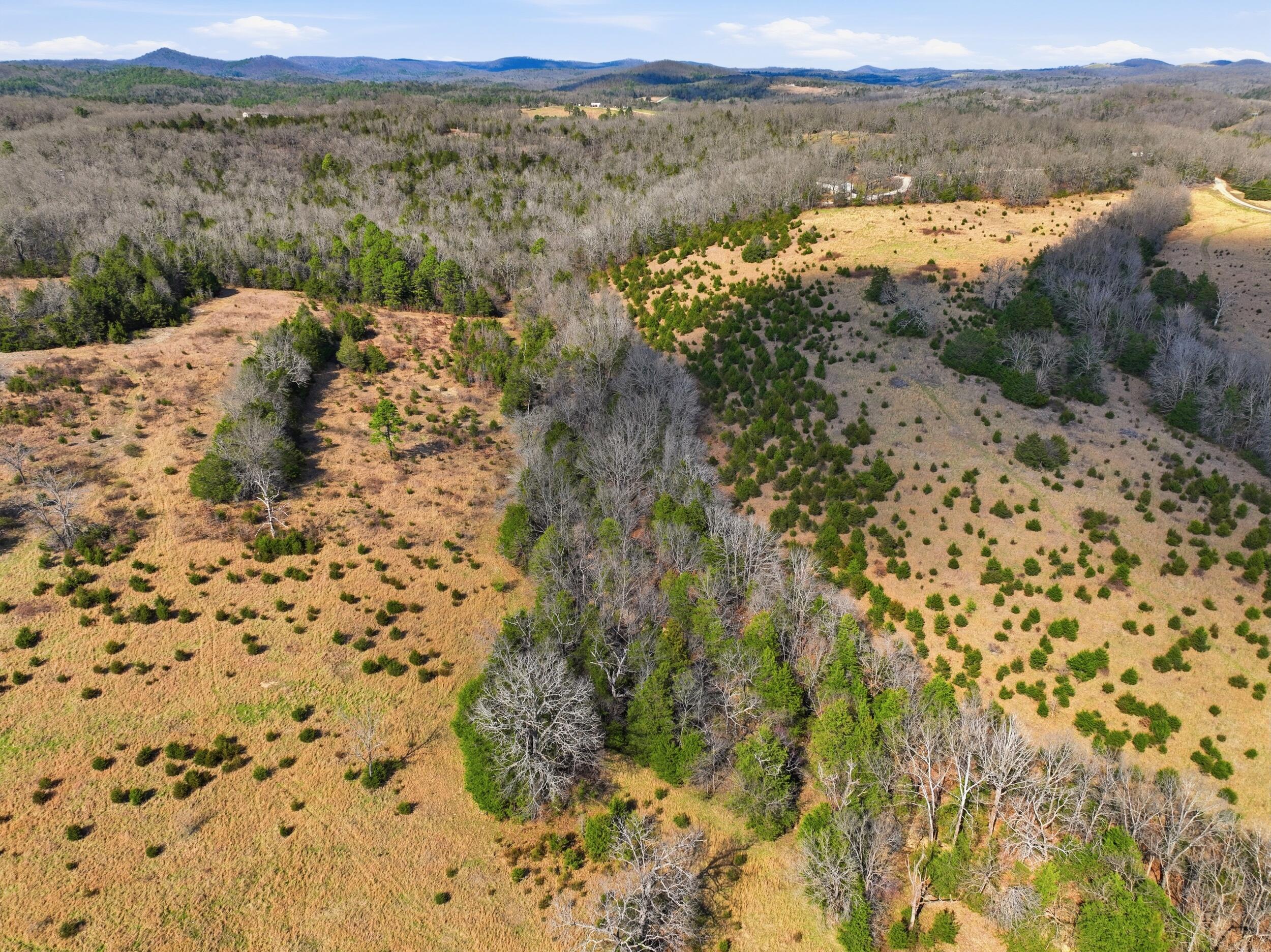 Photo 6 - Land for sale – Lot 2  Fox Den Lane Street  Gainesville, MO
