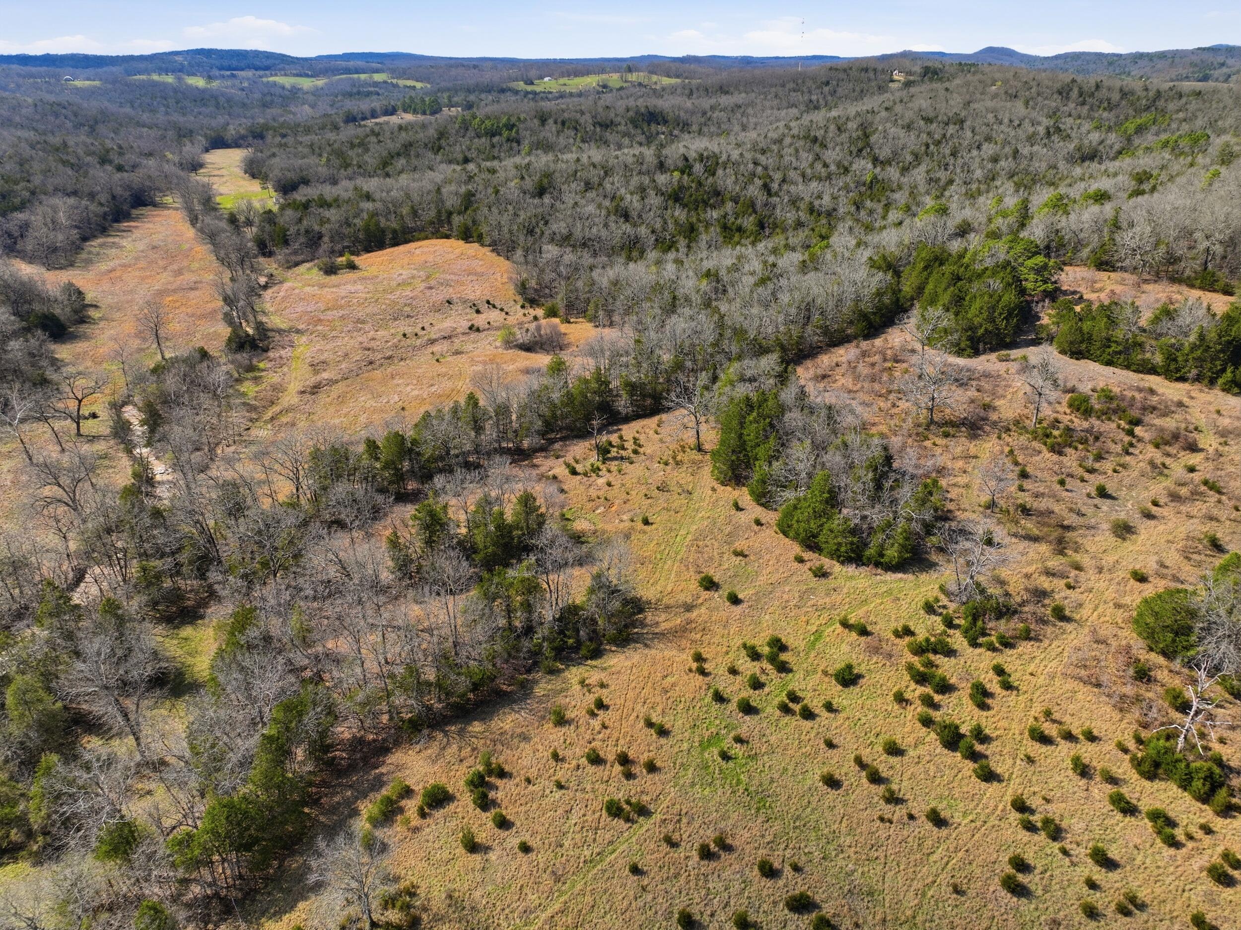 Photo 5 - Land for sale – Lot 2  Fox Den Lane Street  Gainesville, MO