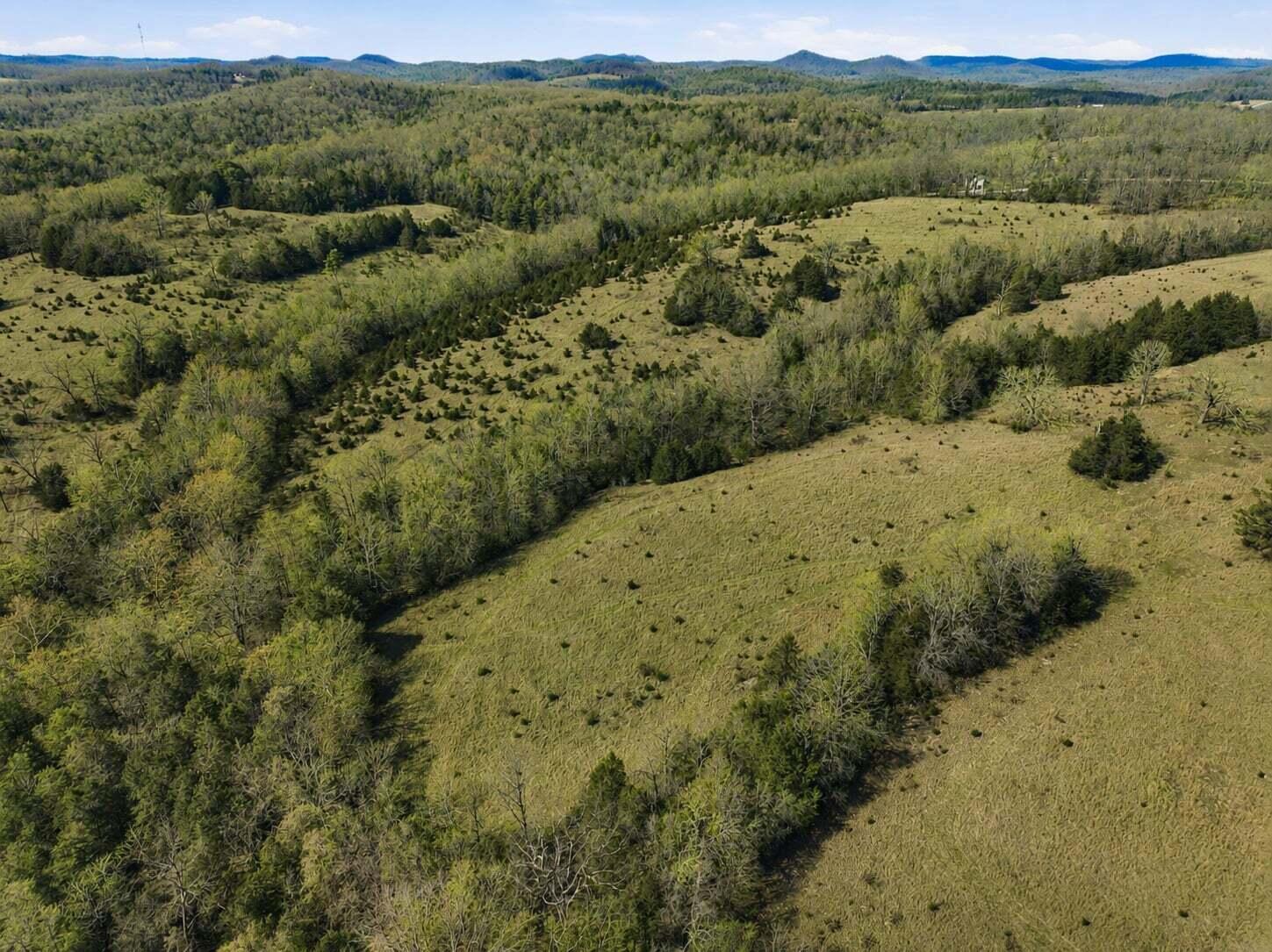Land for sale – Lot 2  Fox Den Lane Street  Gainesville, MO
