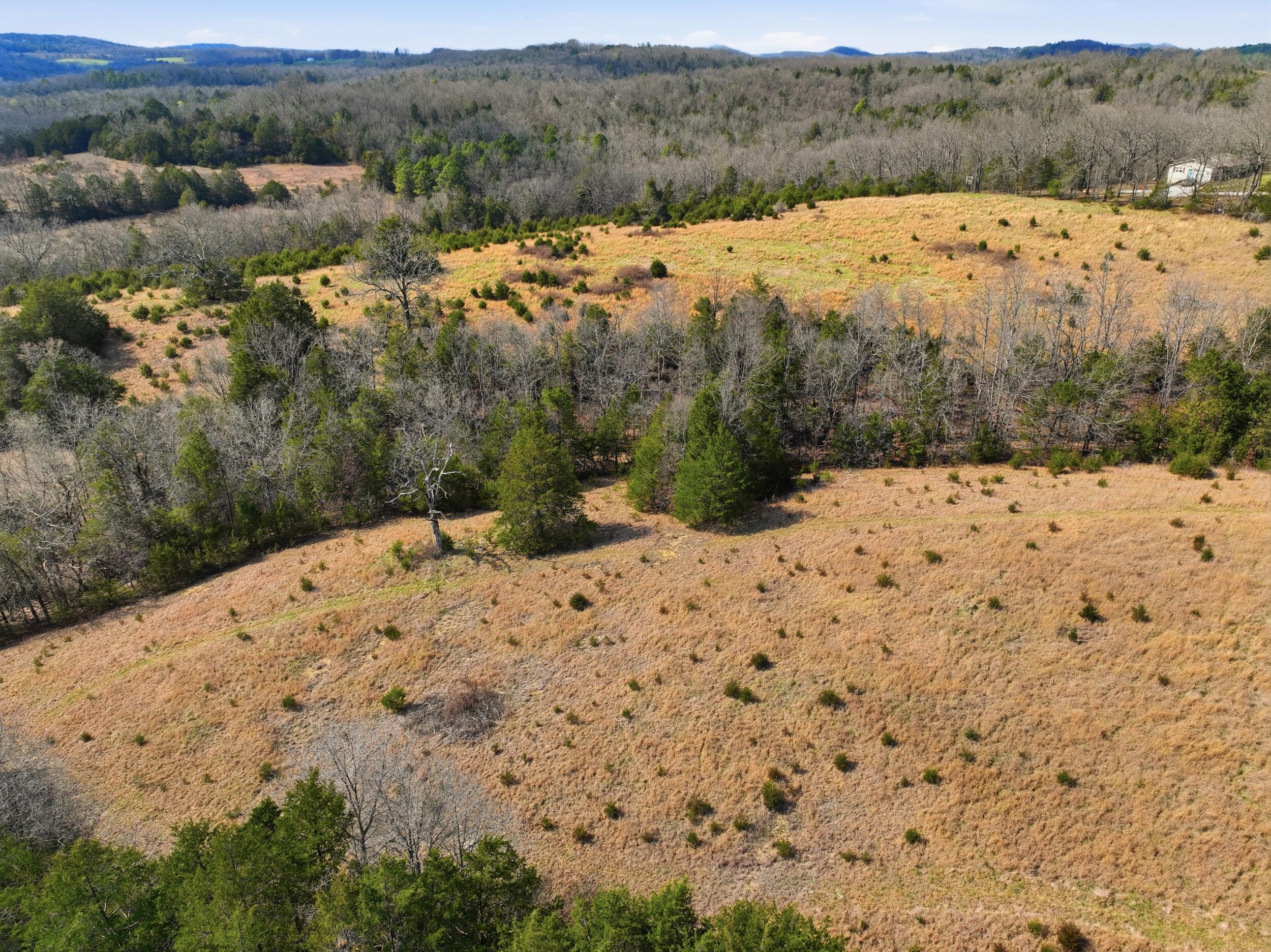 Photo 15 - Land for sale – Lot 2  Fox Den Lane Street  Gainesville, MO