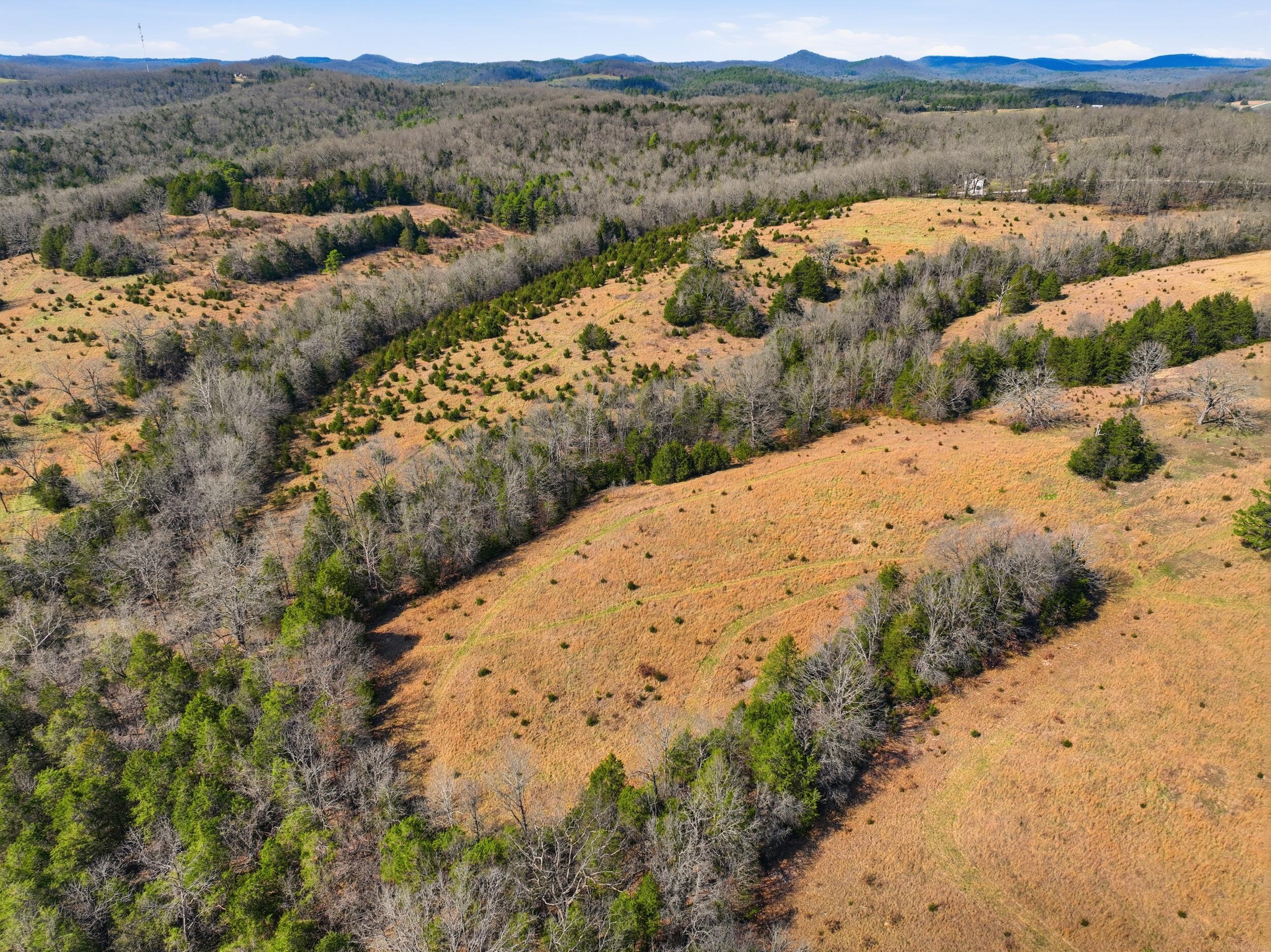 Photo 2 - Land for sale – Lot 2  Fox Den Lane Street  Gainesville, MO