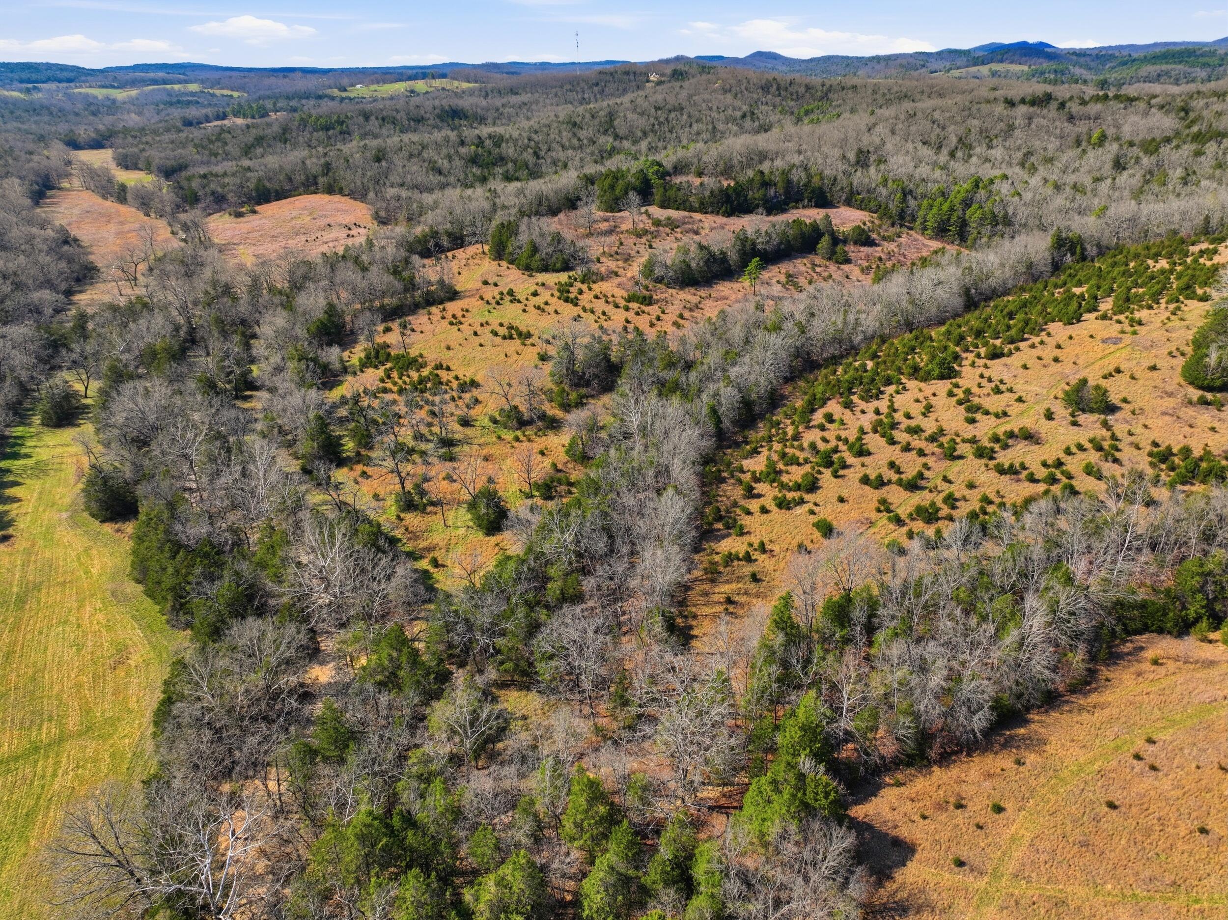 Photo 3 - Land for sale – Lot 2  Fox Den Lane Street  Gainesville, MO