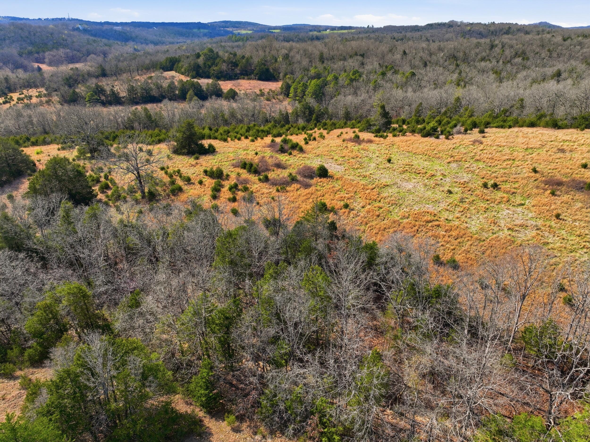 Photo 13 - Land for sale – Lot 2  Fox Den Lane Street  Gainesville, MO
