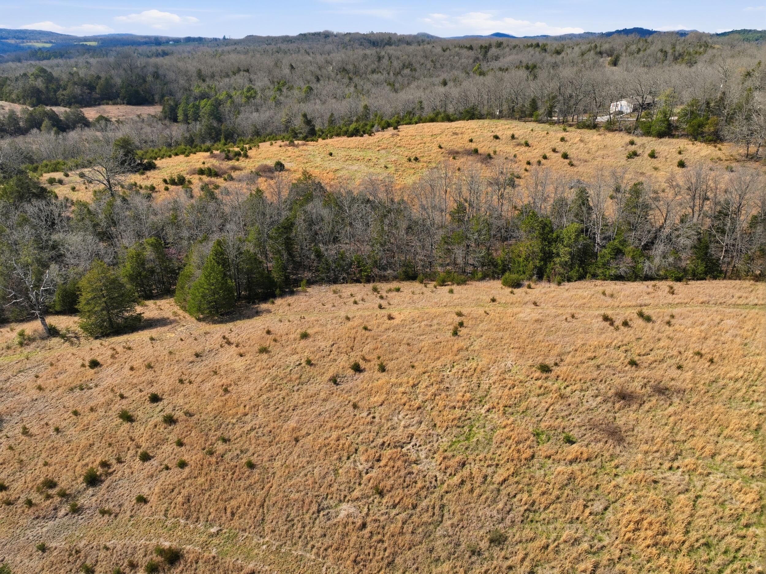 Photo 14 - Land for sale – Lot 2  Fox Den Lane Street  Gainesville, MO