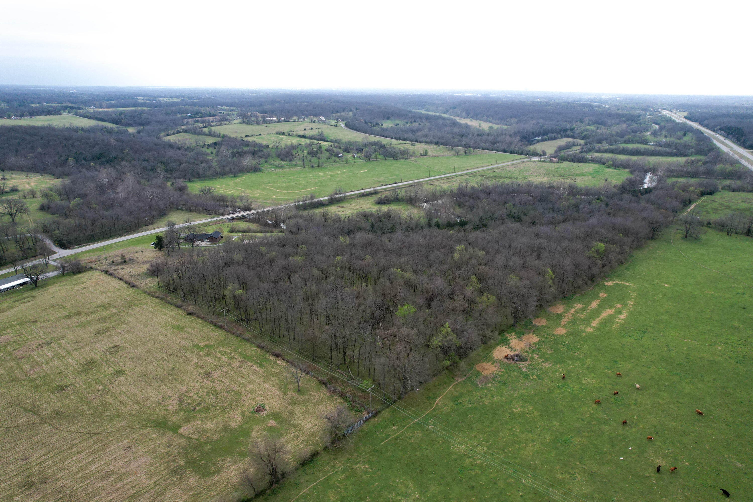 Photo 61 - Residential for sale – 4897 N Farm Road 141   Springfield, MO