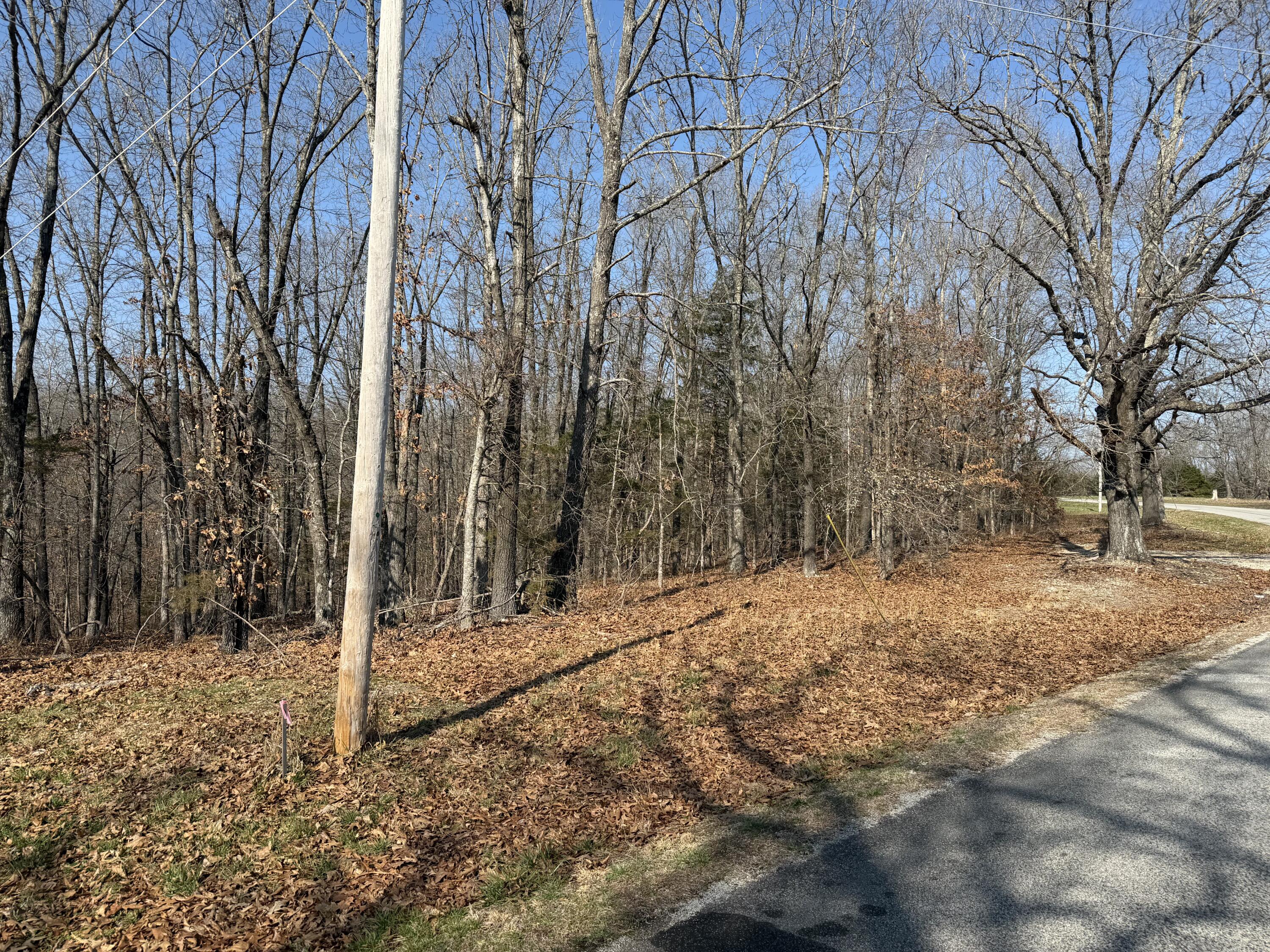 Photo 6 - Land for sale – Lot 112  Walnut Springs Drive  Cape Fair, MO