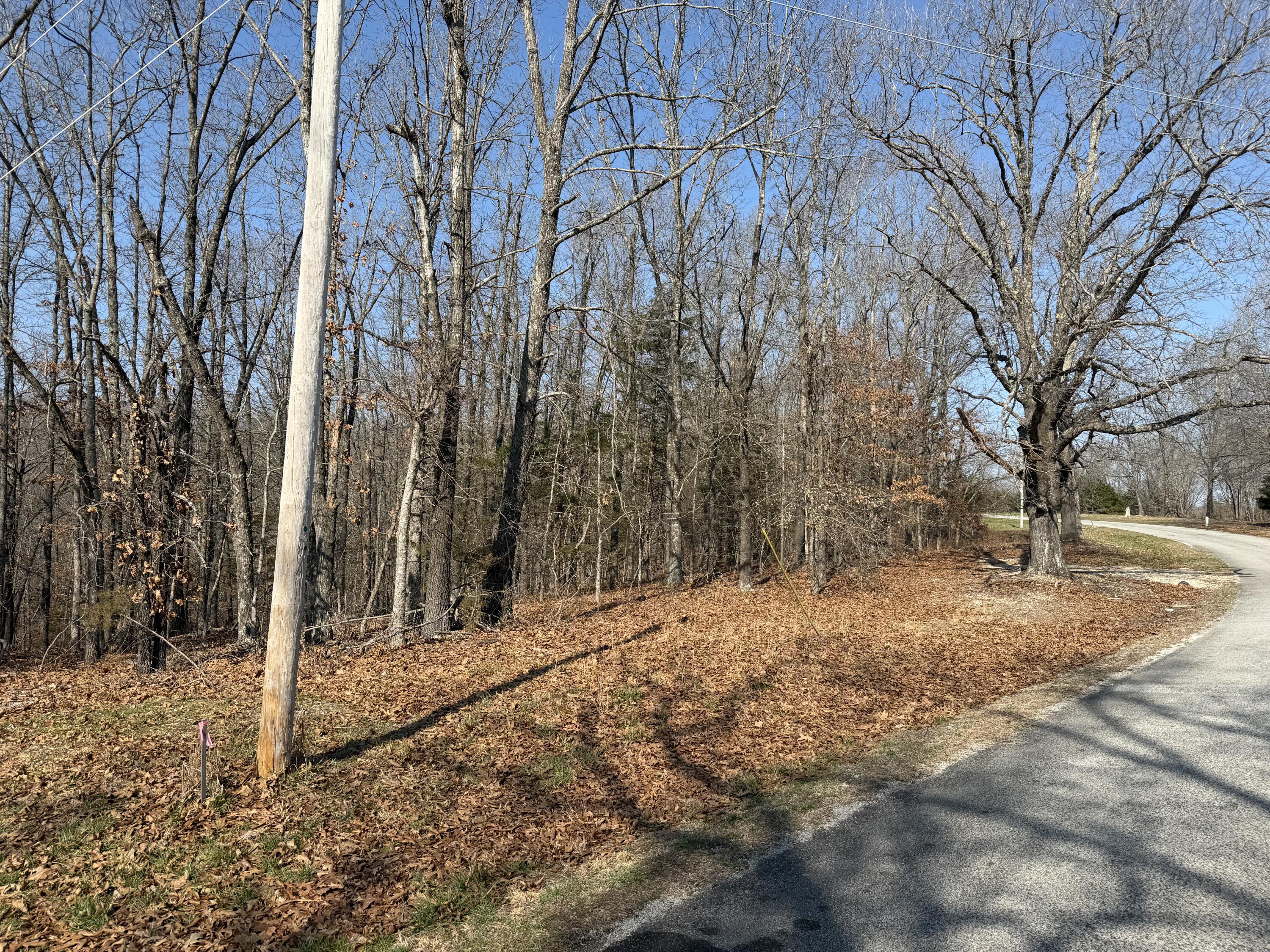 Photo 5 - Land for sale – Lot 112  Walnut Springs Drive  Cape Fair, MO