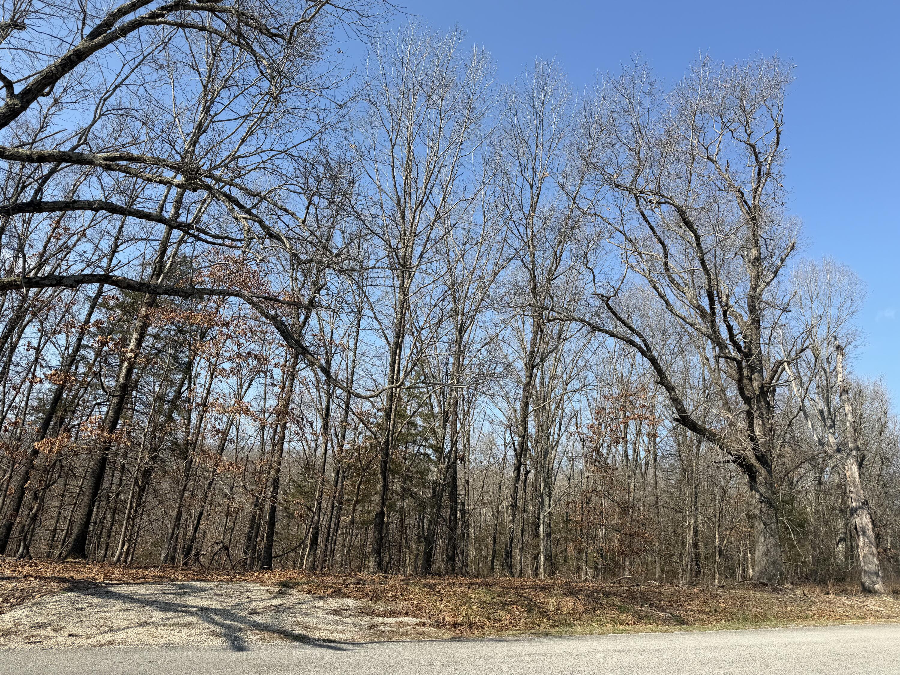 Photo 2 - Land for sale – Lot 112  Walnut Springs Drive  Cape Fair, MO