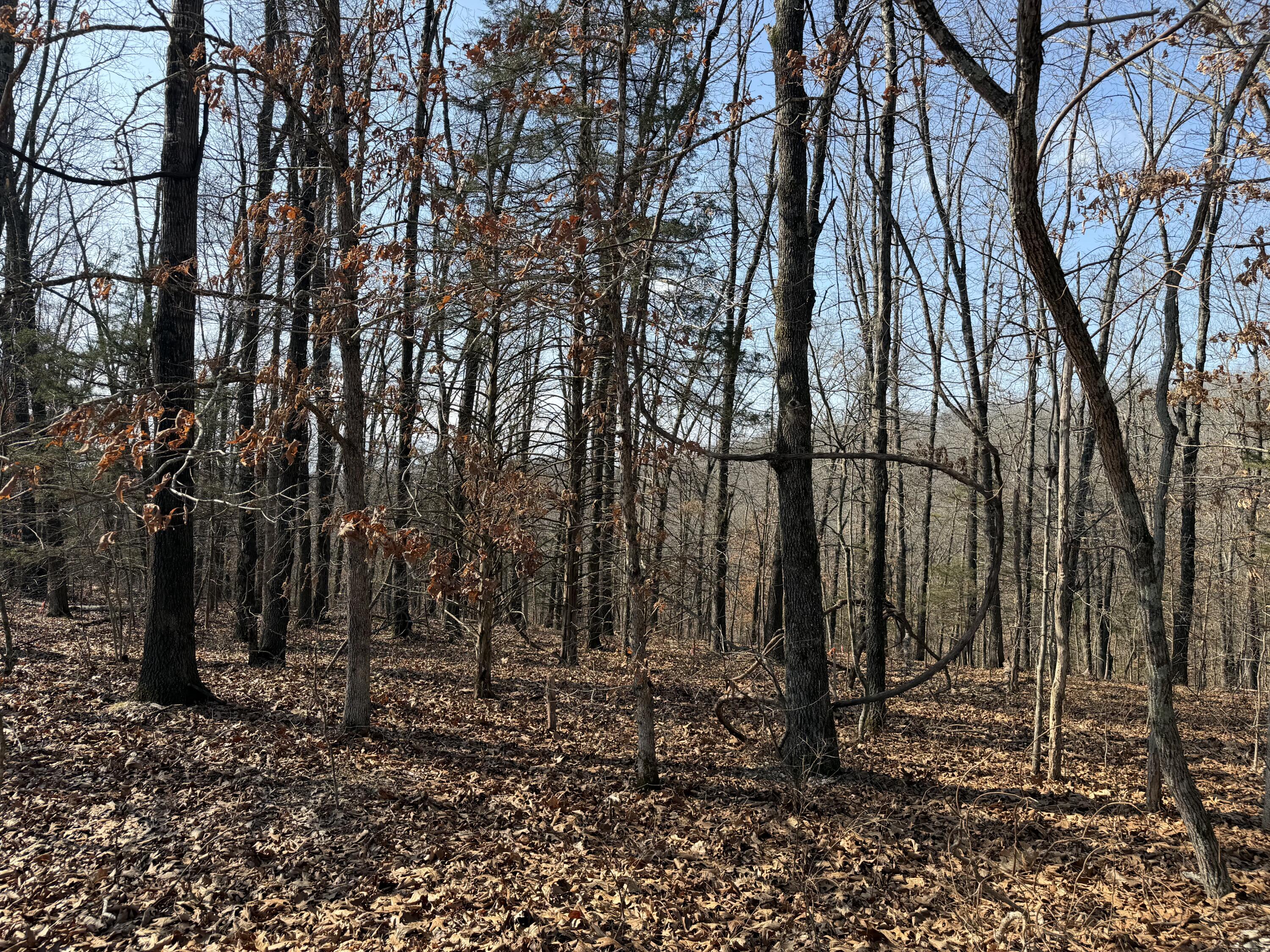 Land for sale – Lot 112  Walnut Springs Drive  Cape Fair, MO