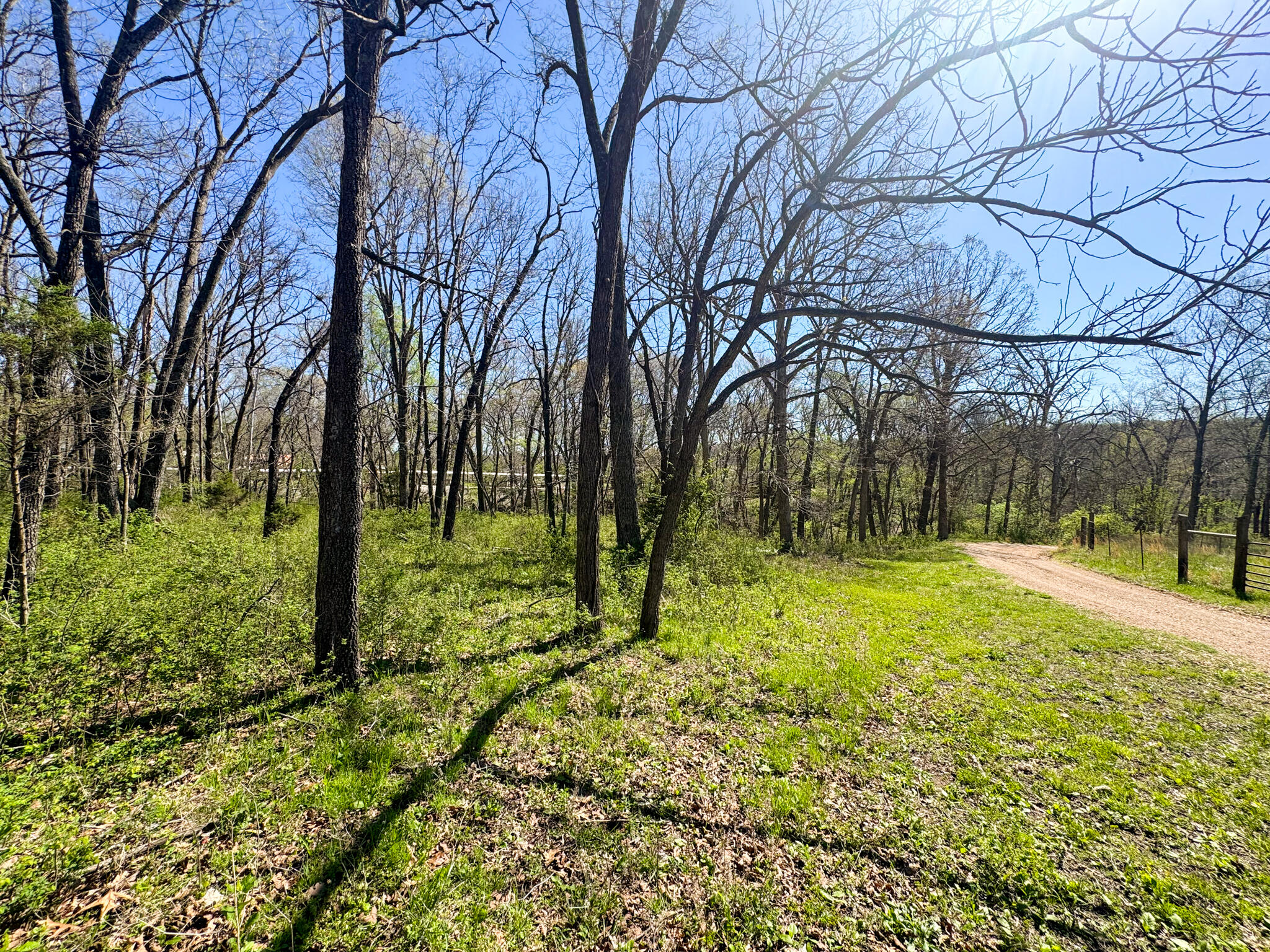 Photo 5 - Land for sale – 000  Red Wolf Lane  Goodman, MO